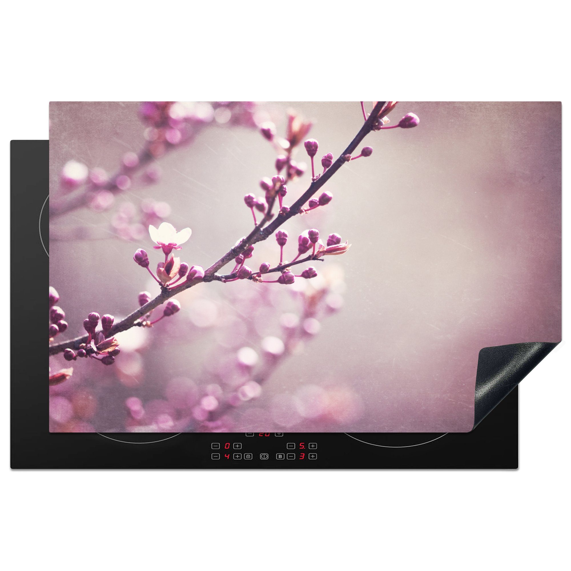 MuchoWow Herdblende-/Abdeckplatte Nahaufnahme der violetten Blüten einer Sakura, Vinyl, (1 tlg), 81x52 cm, Induktionskochfeld Schutz für die küche, Ceranfeldabdeckung