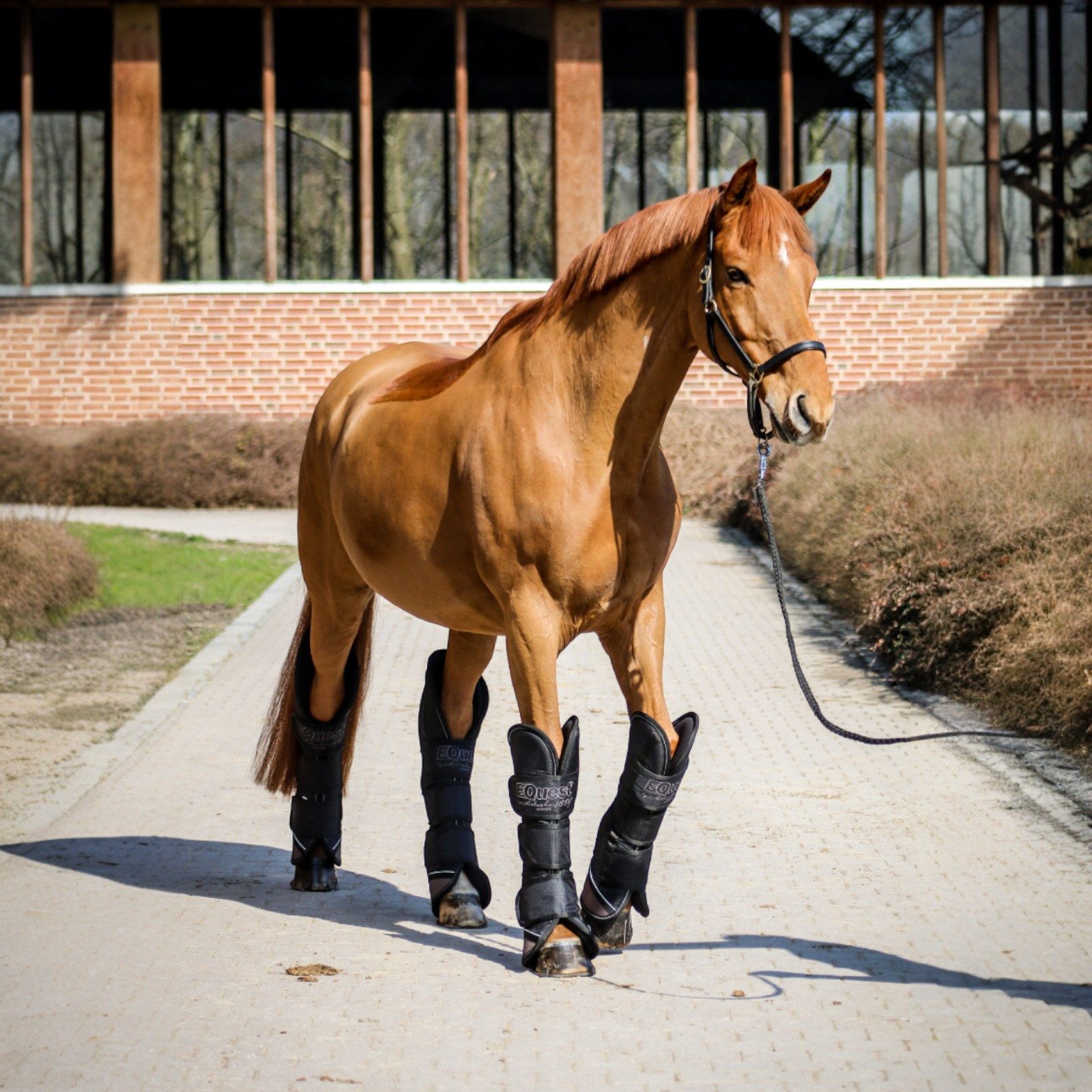 EQuest Transportgamaschen Transportgamasche für Pferde, 4er Set, Schwarz, L Warmblut