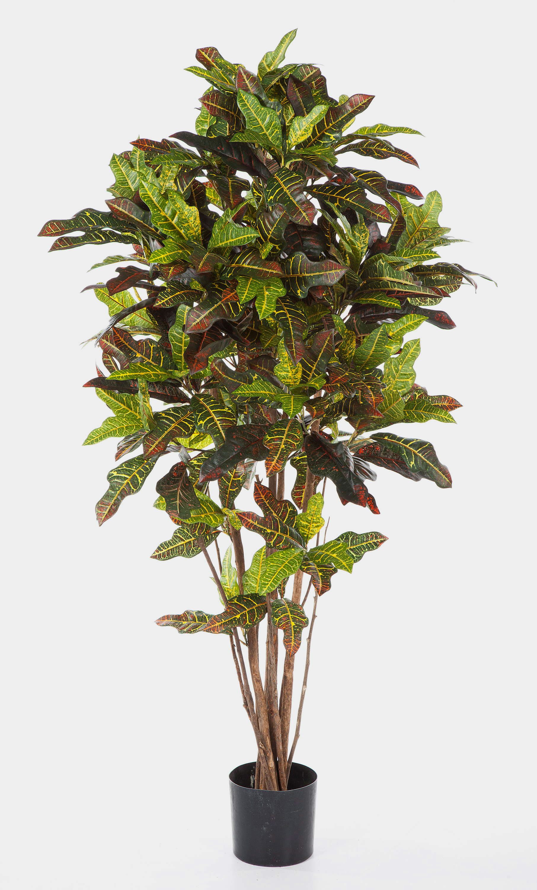 Kunstbaum Künstlicher Goldfinger Baum, 390 Blätter, grün-gelb - rot, 180cm Kroton, artplants, Höhe 180.0 cm