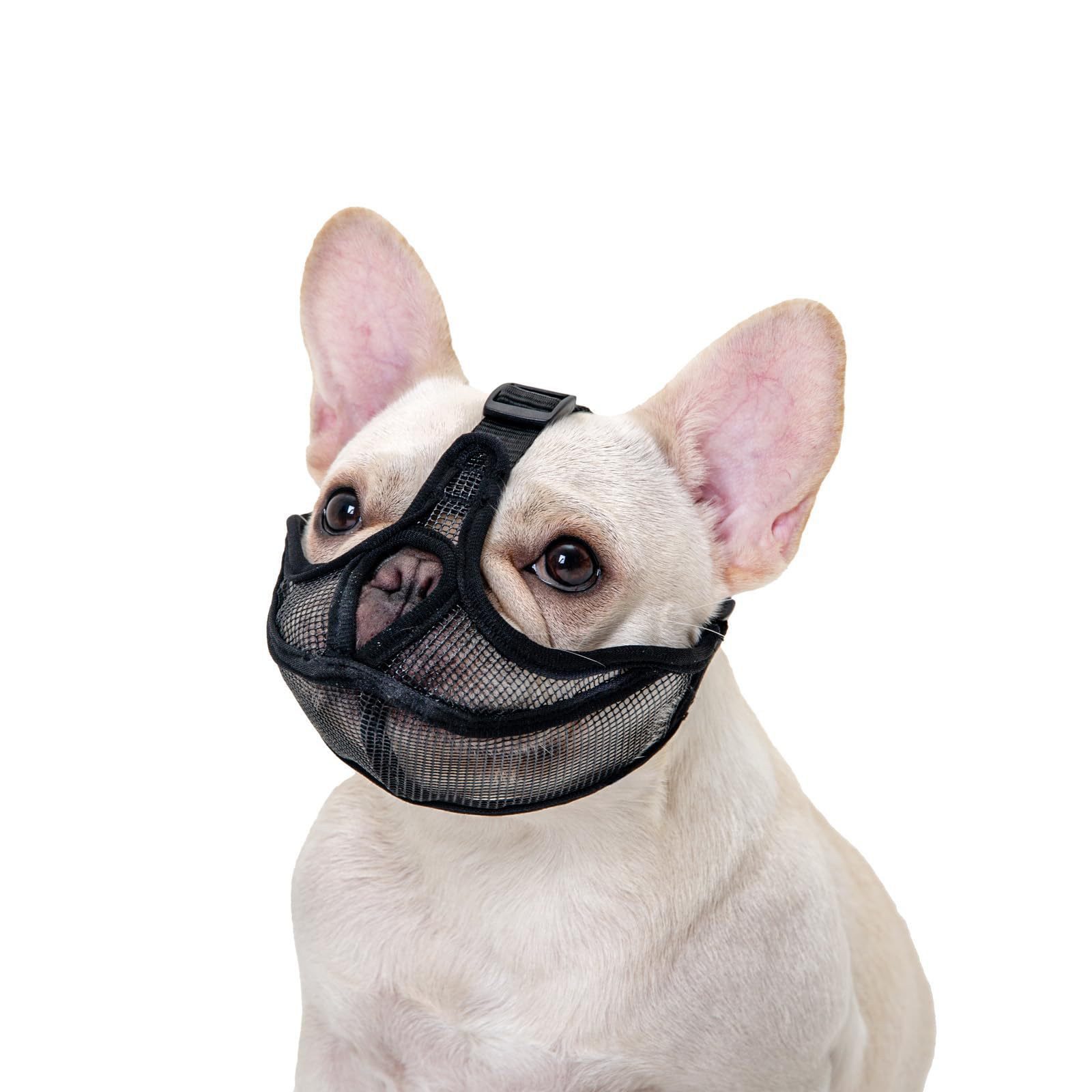Srvillg Maulkorb Französische Bulldogge Maulkorb Hund Maulkorb für Kurze Schnauze Hund, Bedeckt Nicht Stirn Anti Biting Bellen, Einstellbare Atmung Mesh von Srvillg