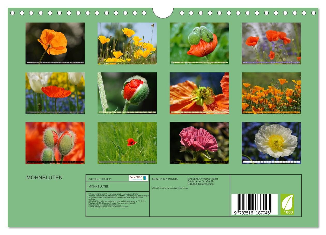 Thumbnail - CALVENDO Wandkalender MOHNBLÜTEN (Wandkalender 2026 DIN A4 quer), CALVENDO Monatskalender