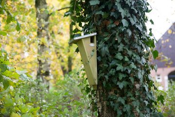 esschert design Nistkasten Nistkasten GARTENBAUMLÄUFER aus Kiefernholz FSC 100% mit Zink Dach