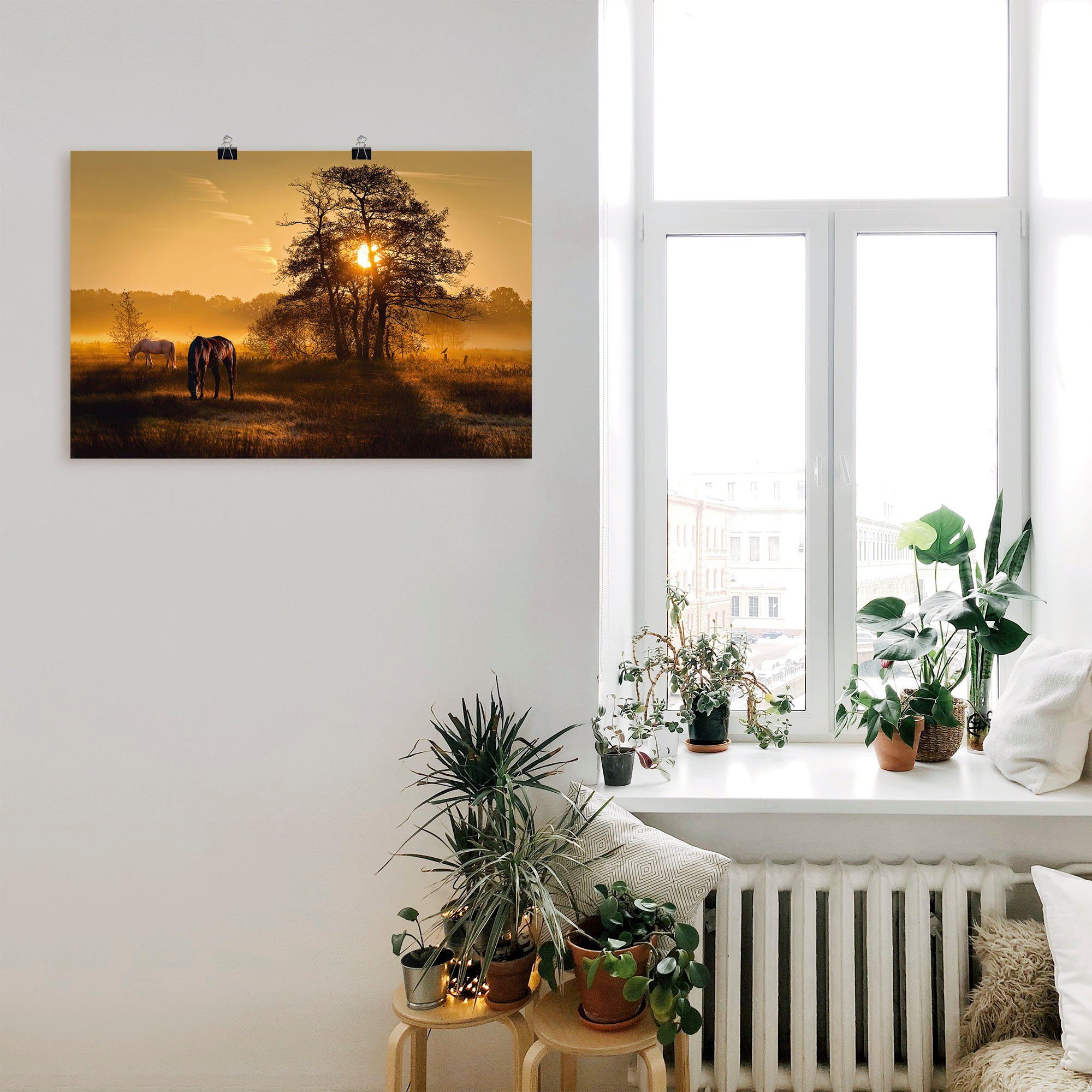 (1 Baumbilder Alubild, Wandaufkleber in Wiesen Artland oder St), Wandbild Poster Lichtdurchflutet, Leinwandbild, als Größen & versch.
