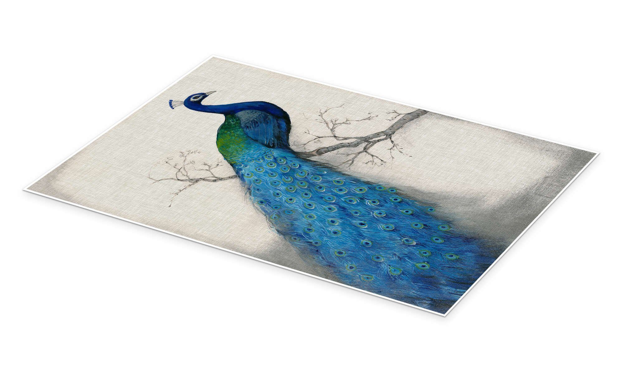 Posterlounge Wandbild Blauer Pfau I, Tim O'Toole, erhältlich als Poster, Leinwandbild, Wandsticker oder Acrylglasbild