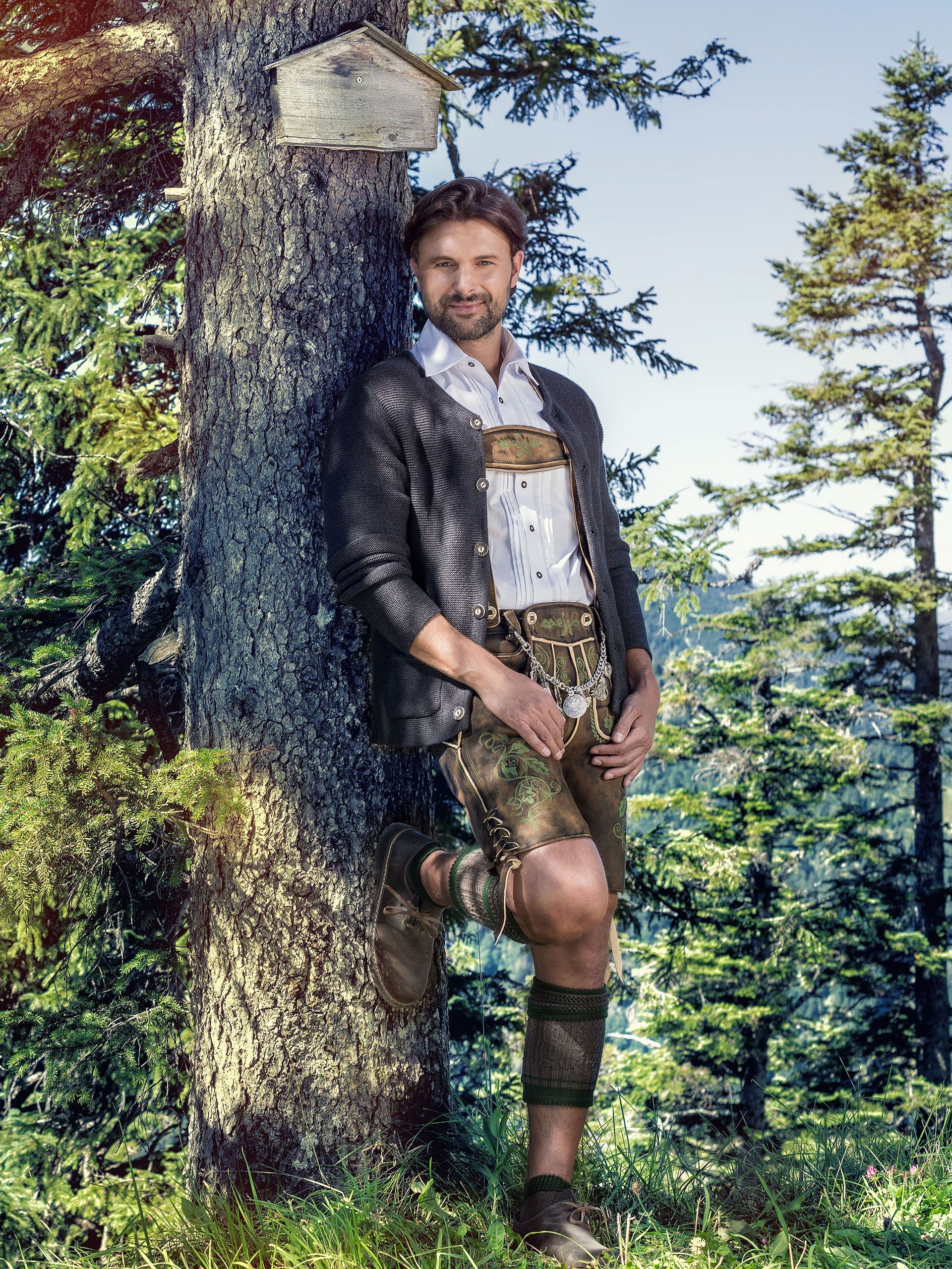 Almbock Trachtenstrickjacke Strickjacke Alfonsius (1-tlg) anthrazit günstig online kaufen