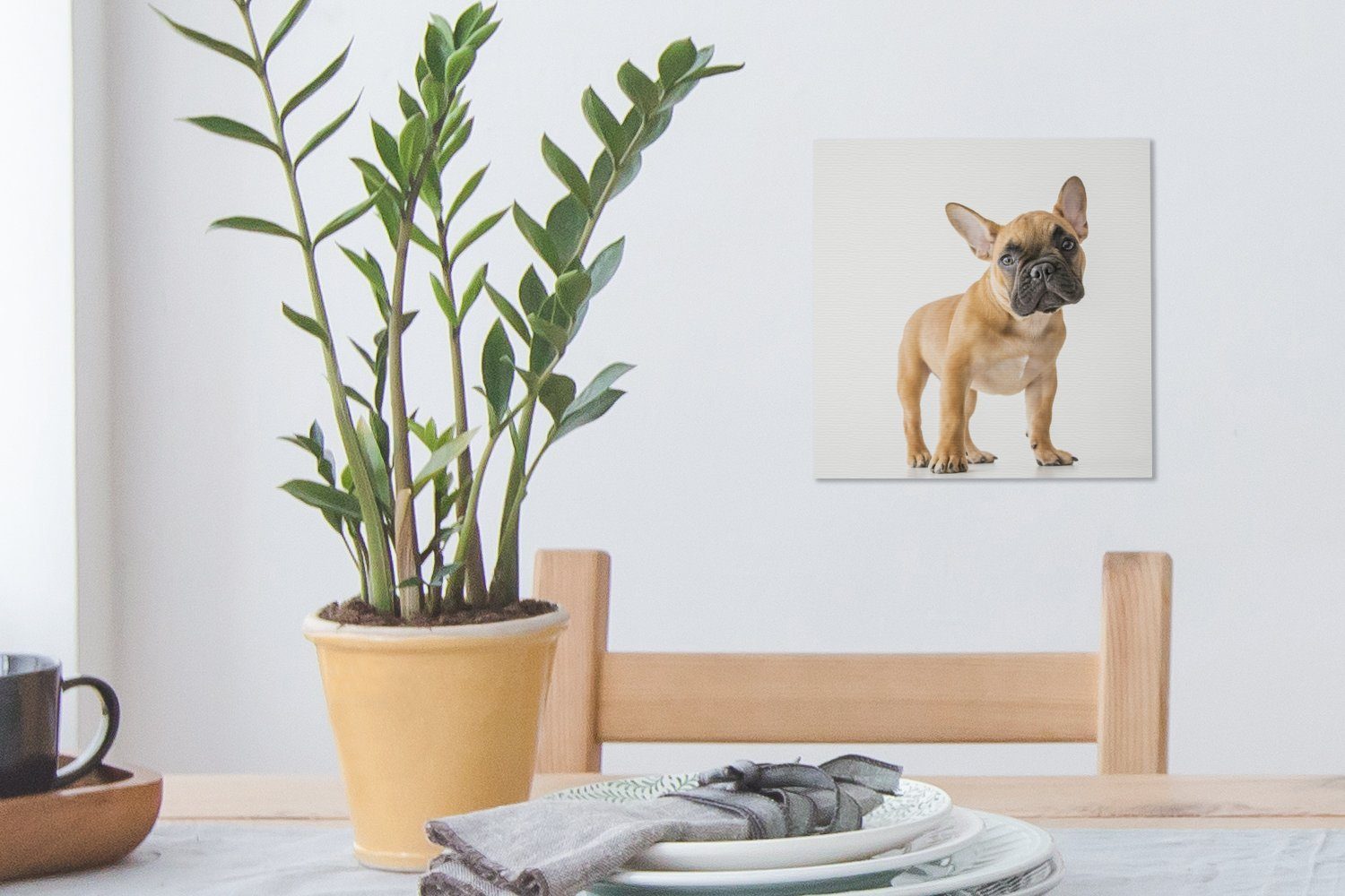 Wohnzimmer OneMillionCanvasses® für (1 - Weiß, Leinwandbild Bilder St), Schlafzimmer Braun Bulldogge Französische - Leinwand