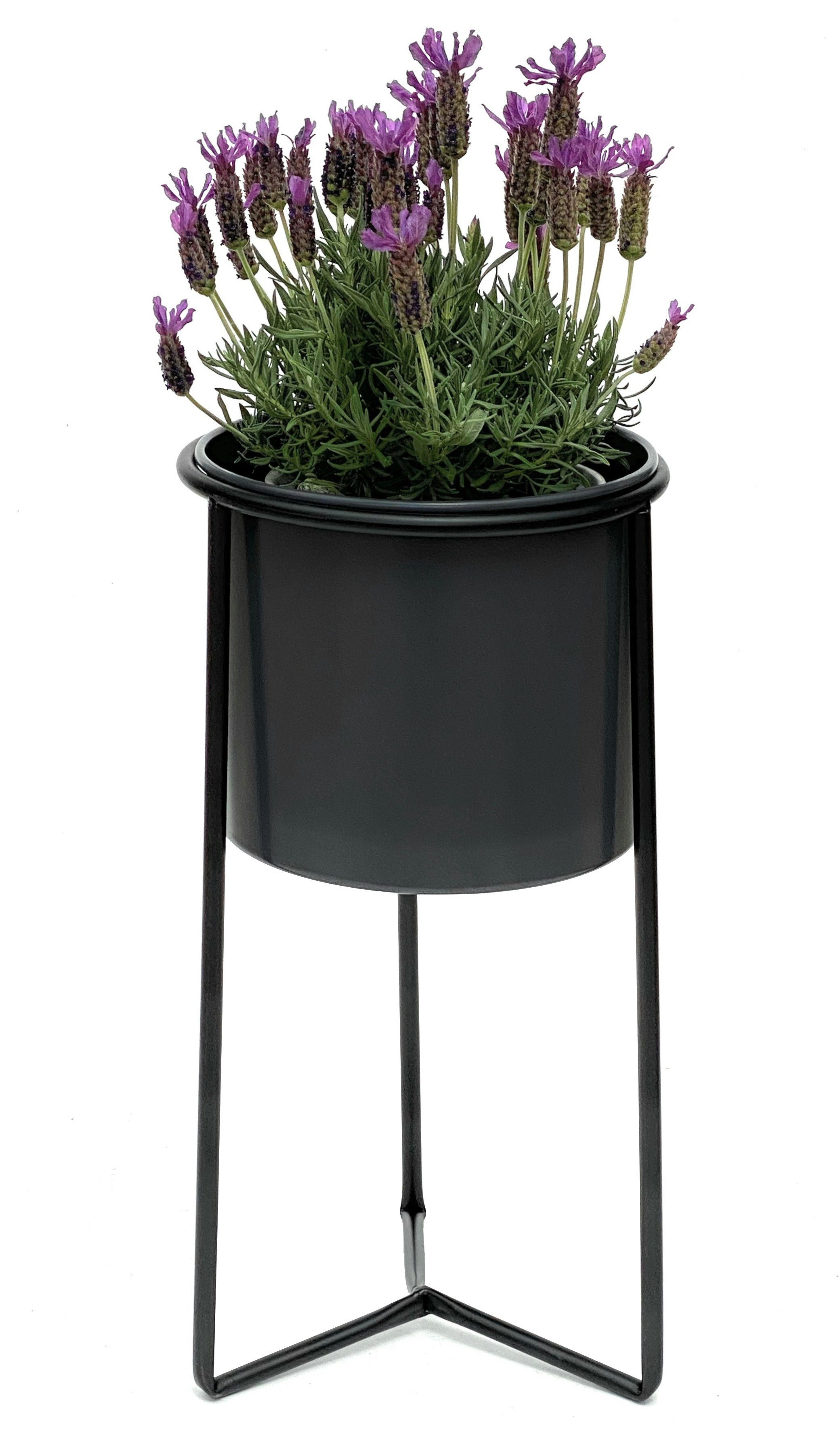 Blumenhocker mit Topf Metall Schwarz Grau Blumenständer 96049 Blumensäule Modern