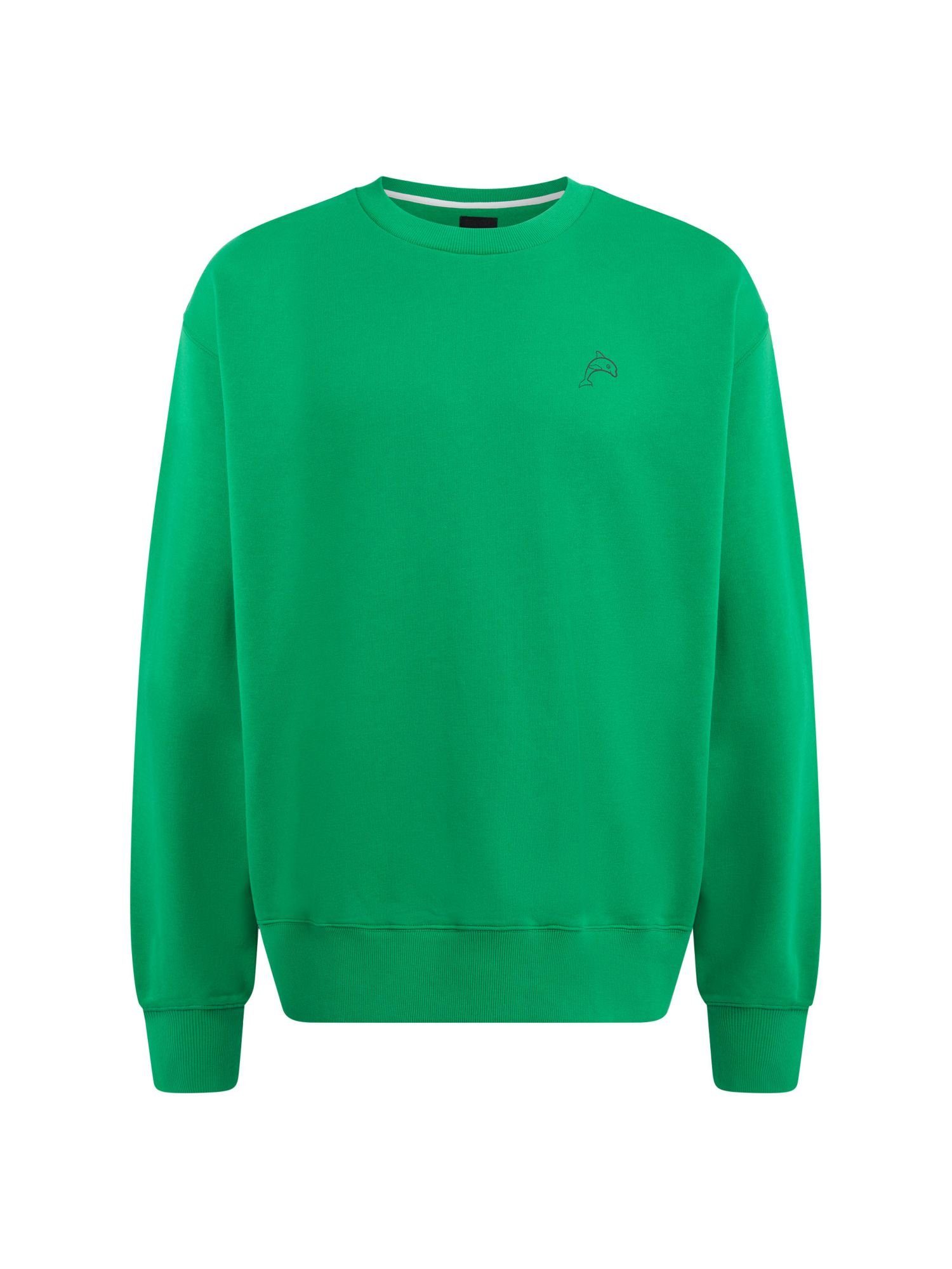 Esprit Sweatshirt Color Dolphin Sweatshirt (1-tlg) GREEN