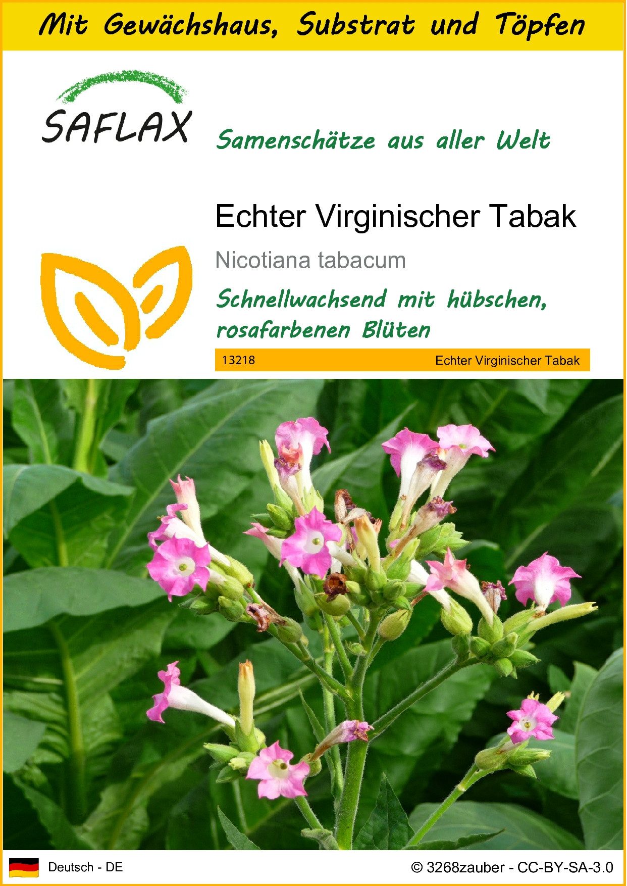 SAFLAX Blumensamen SAFLAX - Anzuchtset - Echter Virginischer Tabak