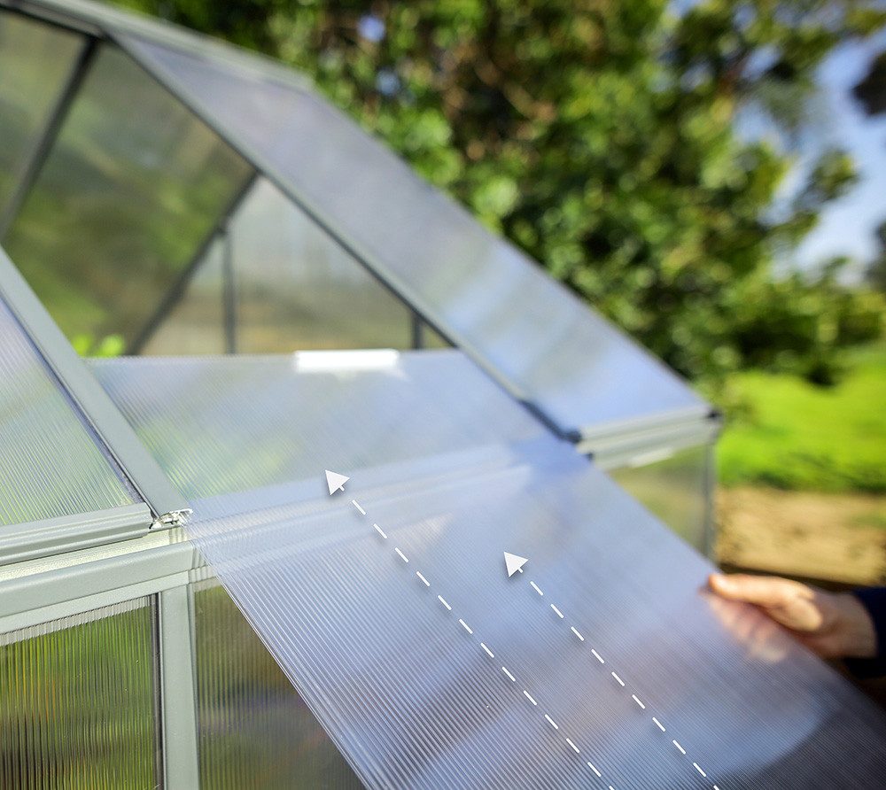 Palram - Canopia Gewächshaus, x 208  | ...