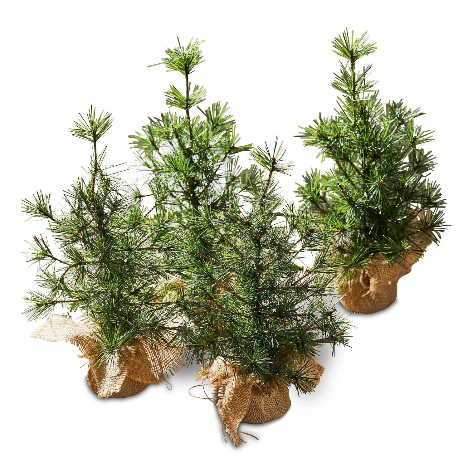 Weihnachtsfigur Deko-Baum 4er Set Millies grün/braun