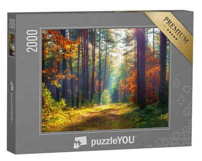 puzzleYOU Puzzle Herbstliche Naturlandschaft., 2000 Puzzleteile, puzzleYOU-Kollektionen Natur, Flora, Pflanzen, 500 Teile, 2000 Teile