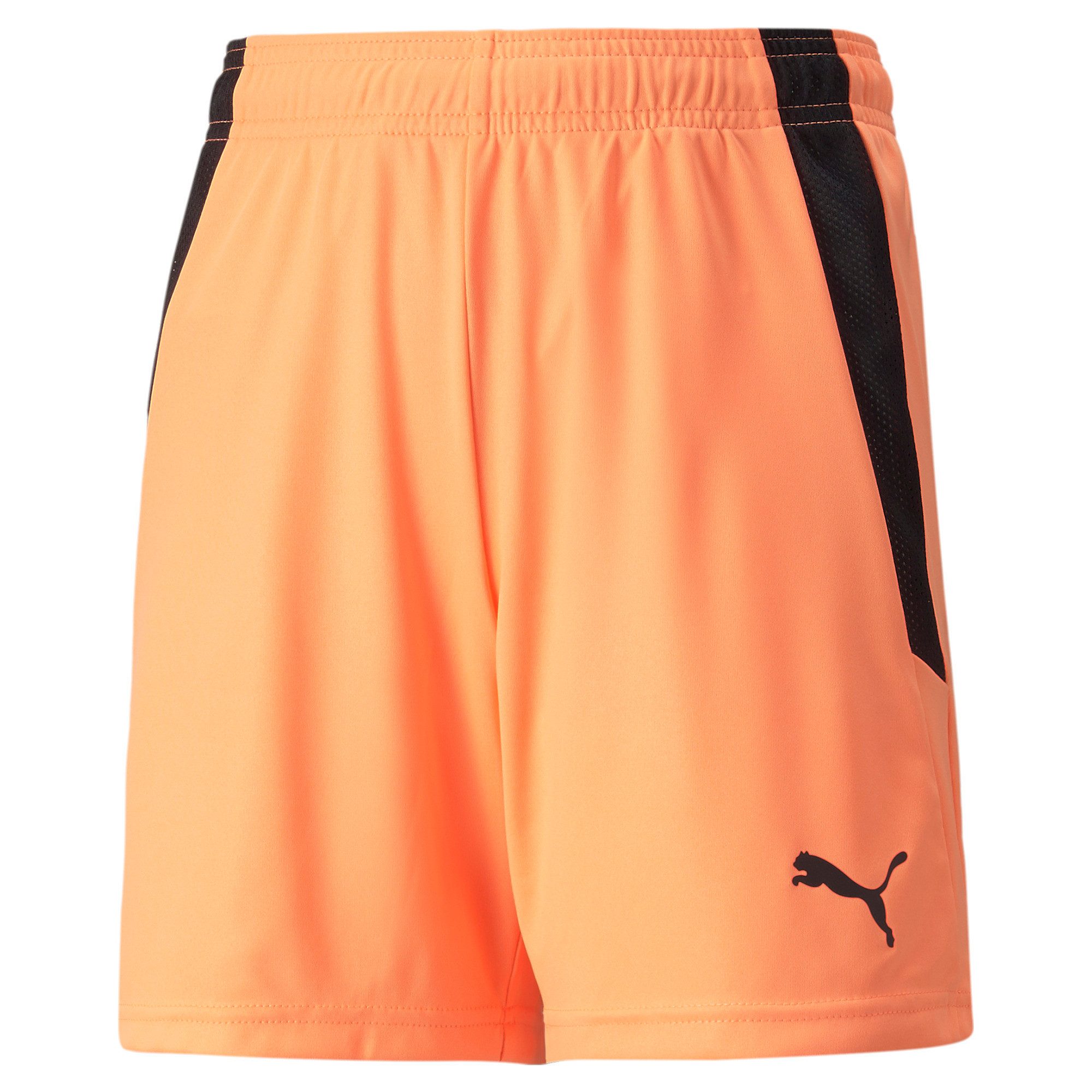 Trainingsshorts Puma Kinder Shorts teamLIGA Shorts Jr 704931