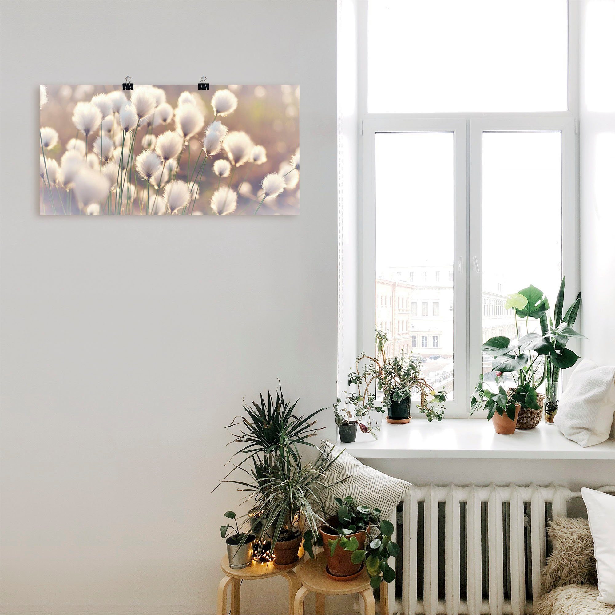 Artland Wandbild Wollgraszauber im Moor, Gräser günstig online kaufen