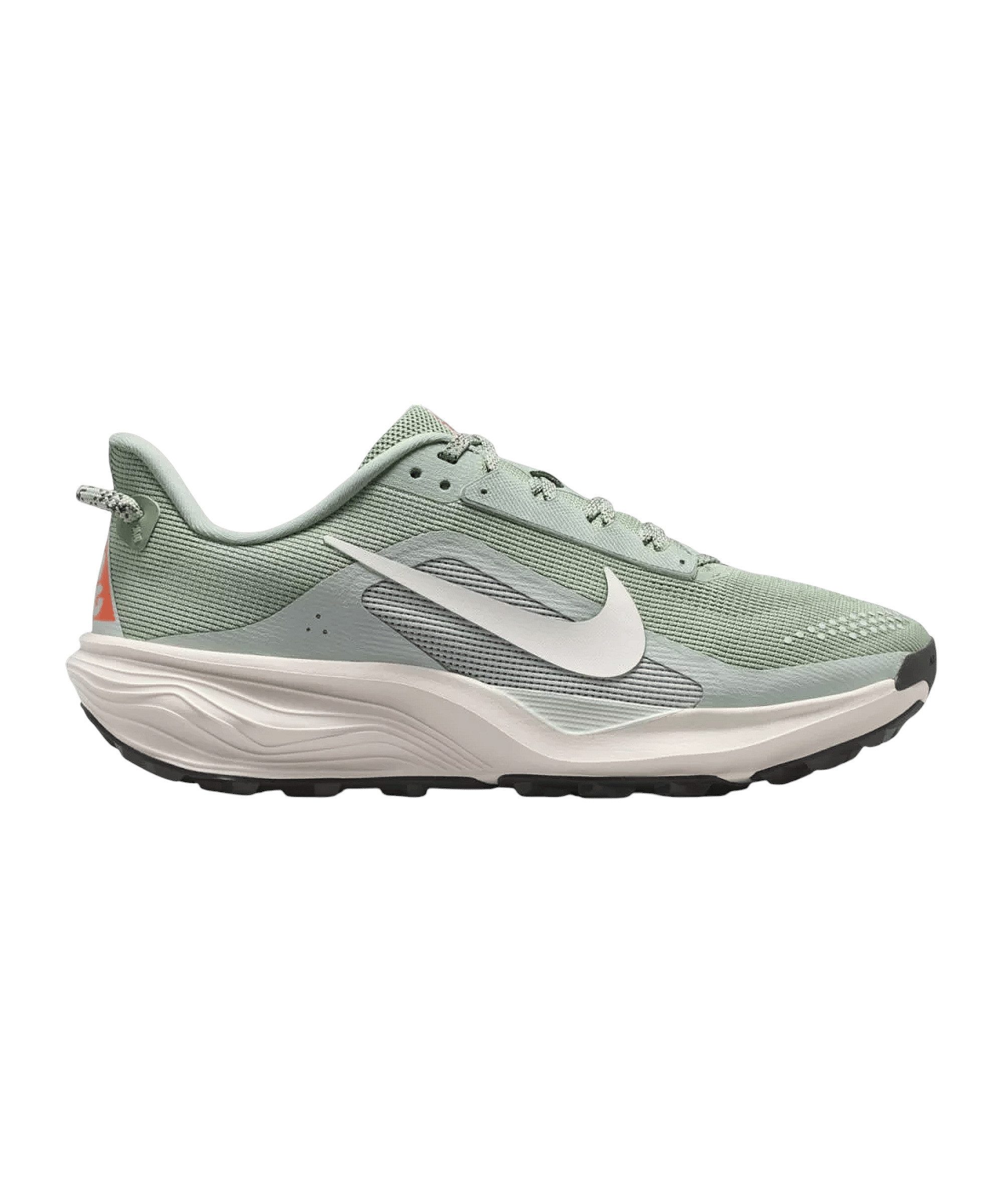 Nike Nike Performance Damen ACG Pegasus Trail Laufschuh Laufschuh