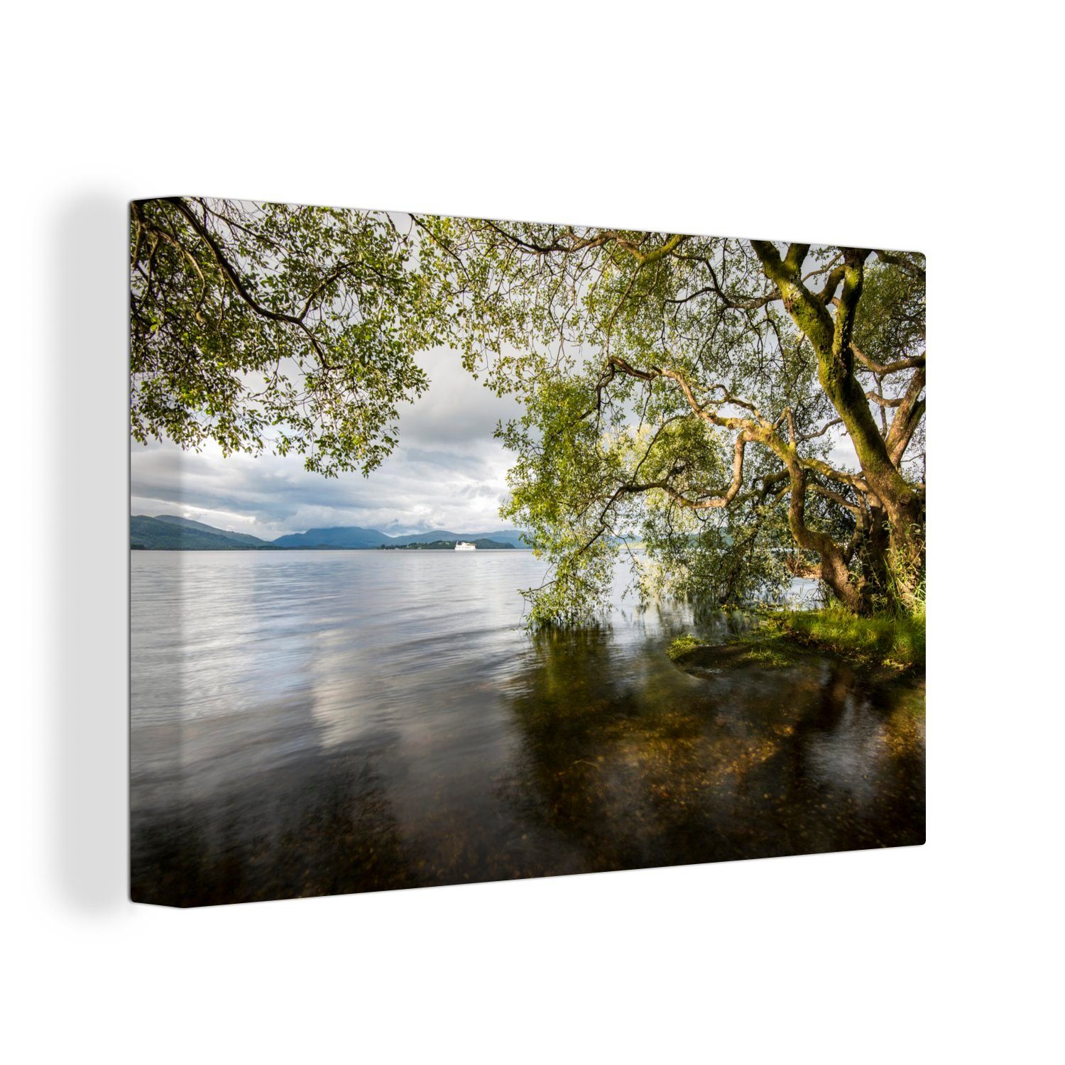 OneMillionCanvasses® Leinwandbild Großer überhängender Baum im Loch Lomond and the Trossachs National, (1 St), Wandbild Leinwandbilder, Aufhängefertig, Wanddeko, 30x20 cm