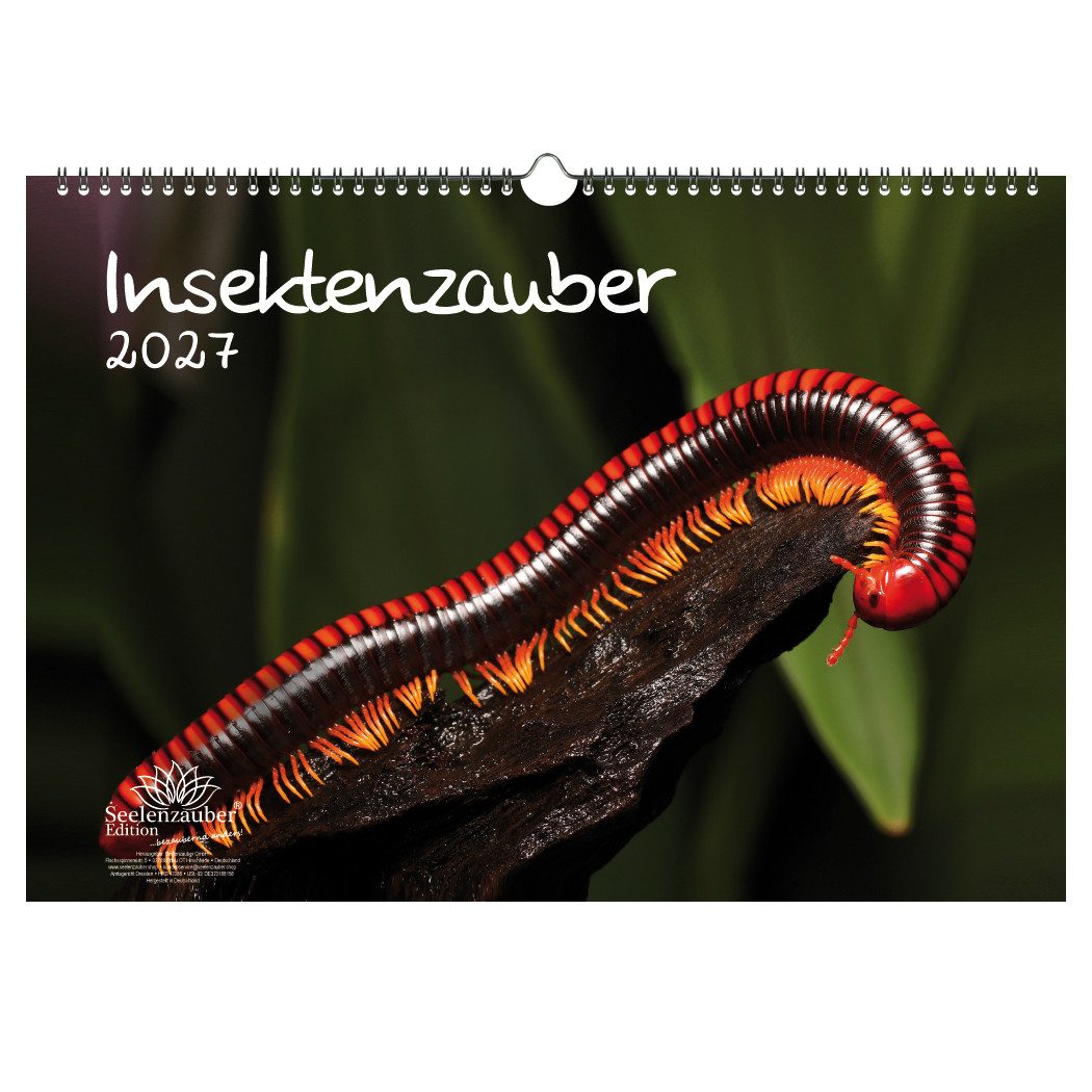 Seelenzauber Wandkalender Insektenzauber DIN A3 Kalender für 2027 - Seelenzauber