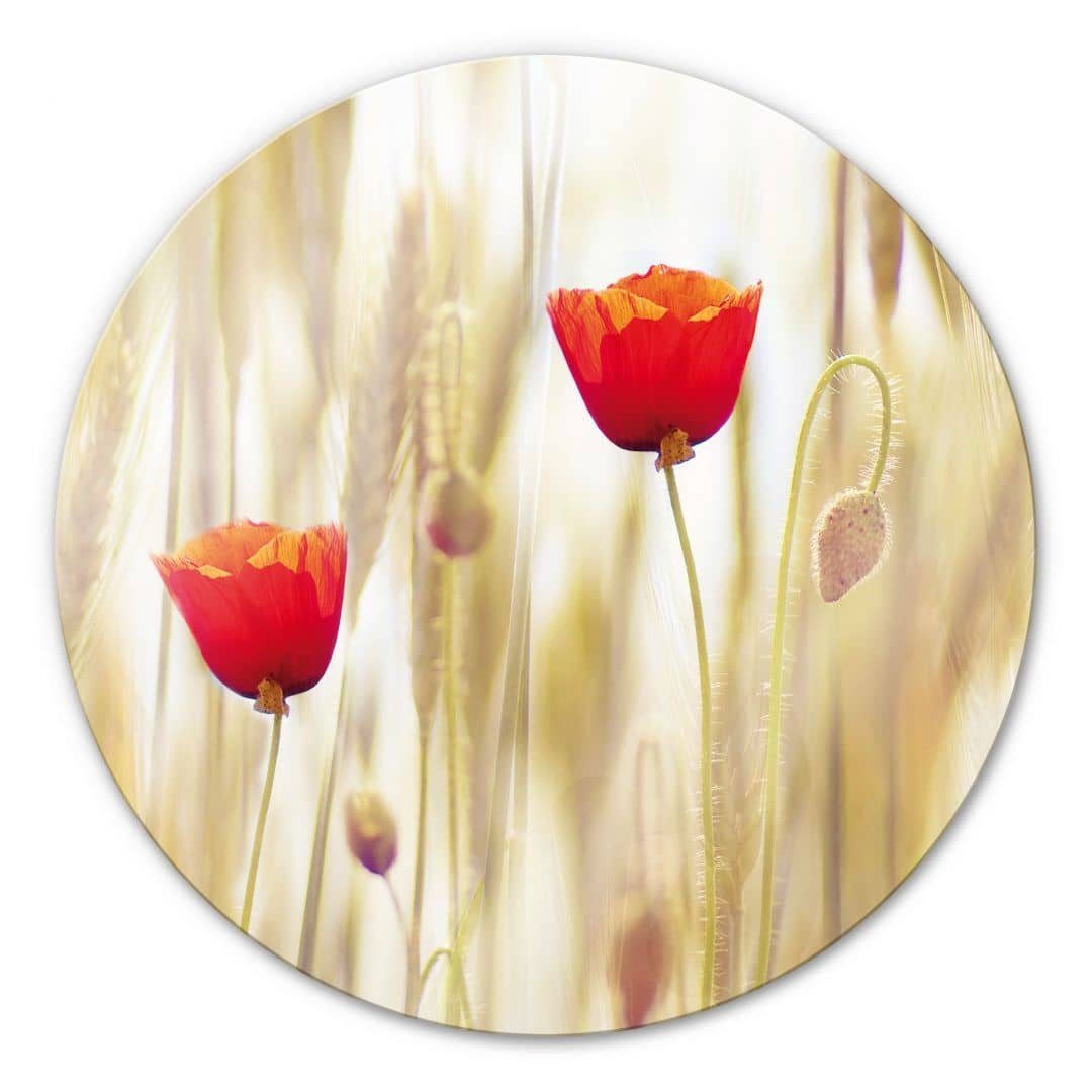 K&L Wall Art Gemälde Glas Wandbild Rund Glasbild floral Blumen Poppies Mohnblume, Wandschutz Deko Bilder | Gemälde