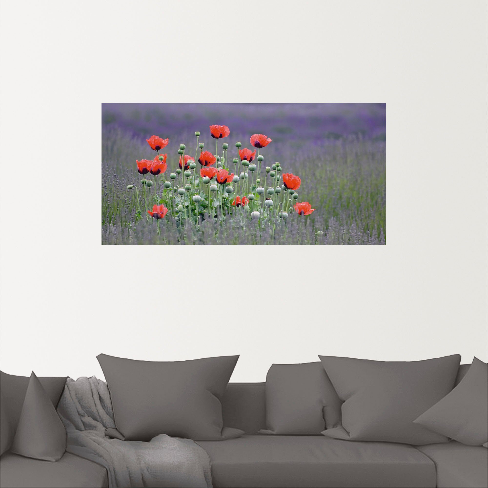 als Blumenwiese Wandaufkleber - Lavendelfarm Alubild, Größen Leinwandbild, St), in Poster (1 Artland Mohnblumen, in versch. Wandbild oder Sequim