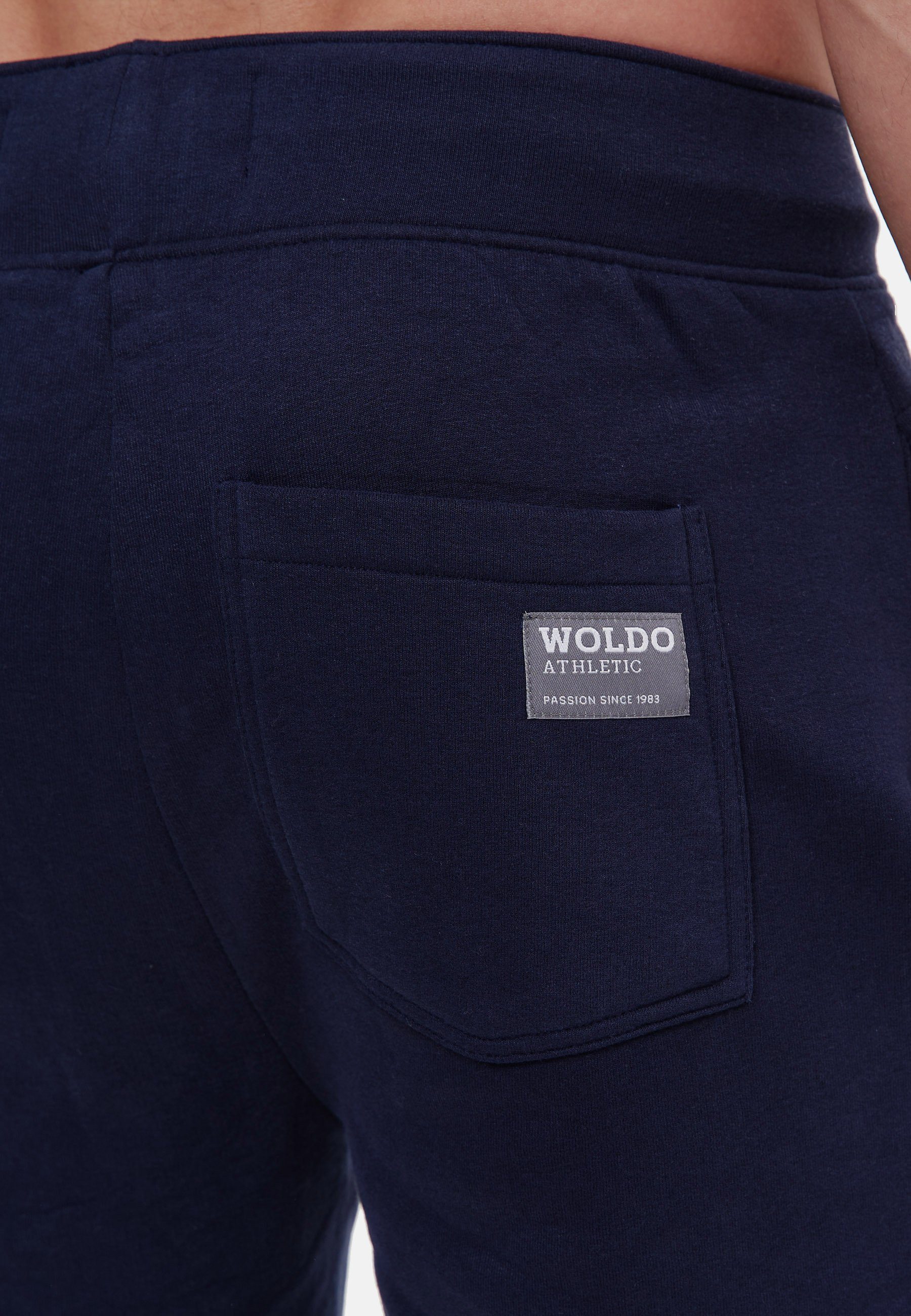 Woldo Athletic Logo Hoodie Hoodie Big grau-blau
