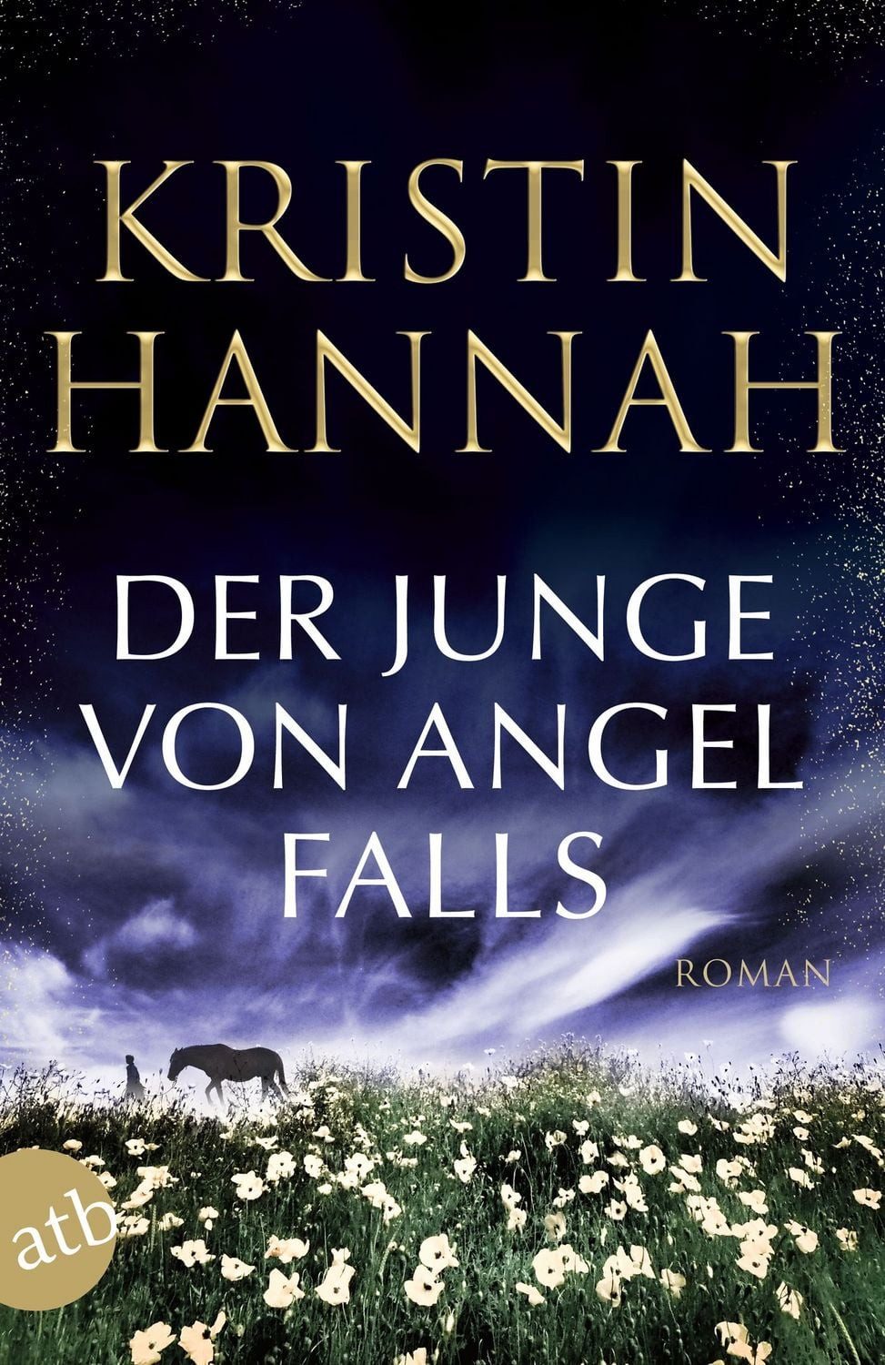 Der Junge von Angel Falls / Kristin Hannah, Wenn Engel schweigen