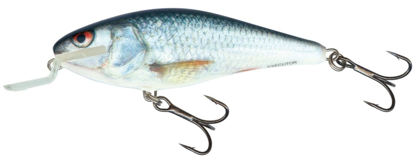 Real Dace