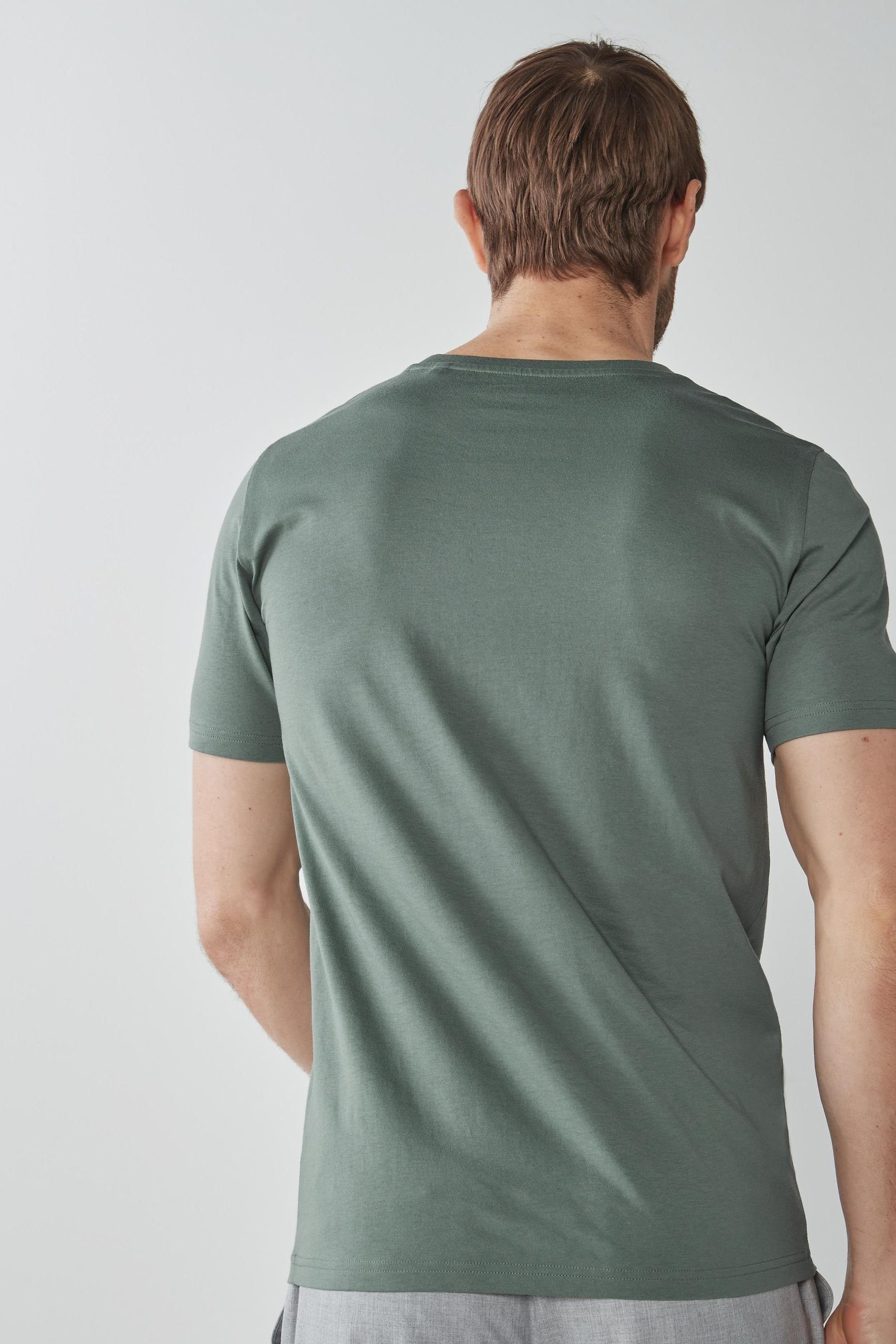 Green Sage T-Shirt (1-tlg) Next