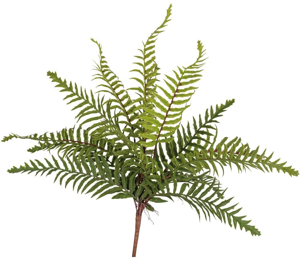 Kunstblume Farnbusch Pflanze natürliches Aussehen Kunststoff Ø 40 cm Farn, matches21 HOME & HOBBY, Höhe 40 cm | Kunstblumen