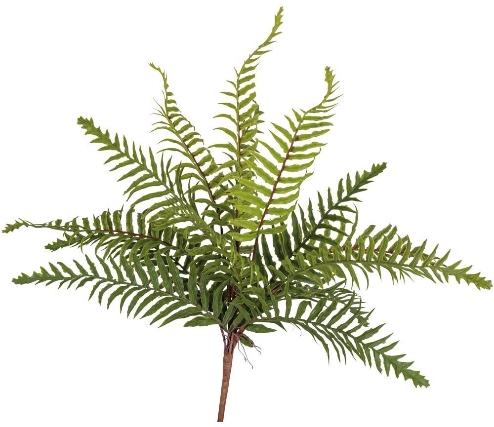 Kunstblume Farnbusch Pflanze natürliches Aussehen Kunststoff Ø 40 cm