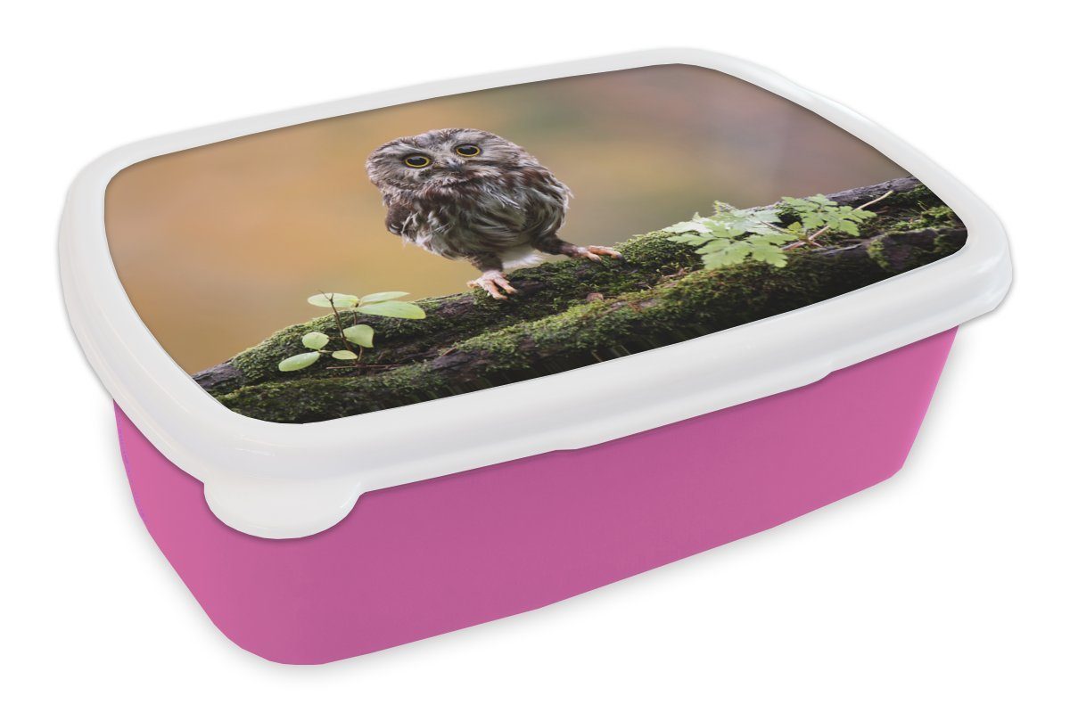 Kunststoff Lunchbox Steinkauz, Mädchen, rosa für Erwachsene, MuchoWow Brotdose Snackbox, Brotbox Kunststoff, Kinder, (2-tlg),