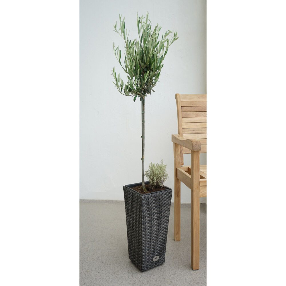 Ploß Blumentopf Monaco günstig online kaufen