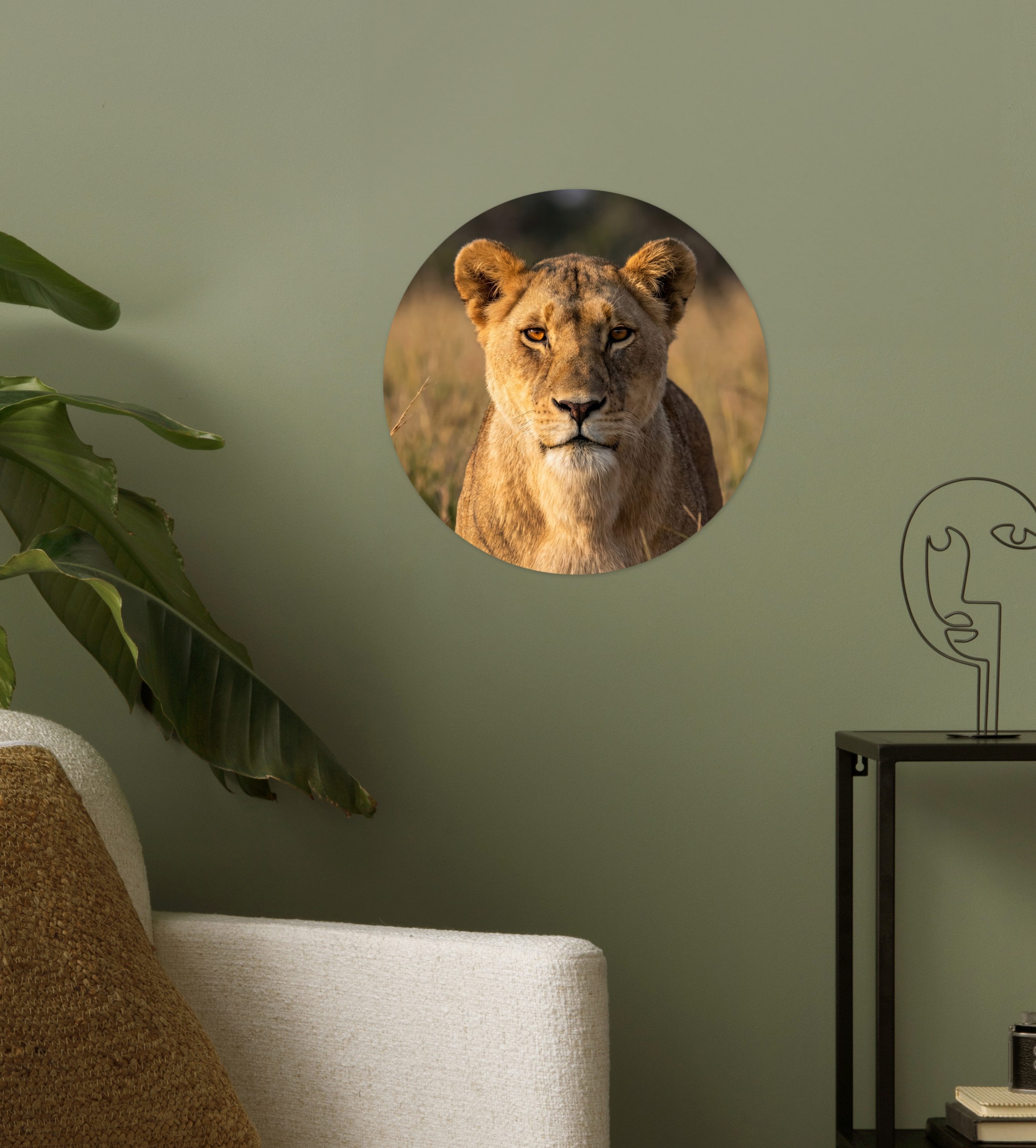 MuchoWow Wandsticker Löwin - Gras - Gelb (1 St), Wandtattoo Selbstklebend, Wohnzimmer Deko Aufkleber, 30x30 cm