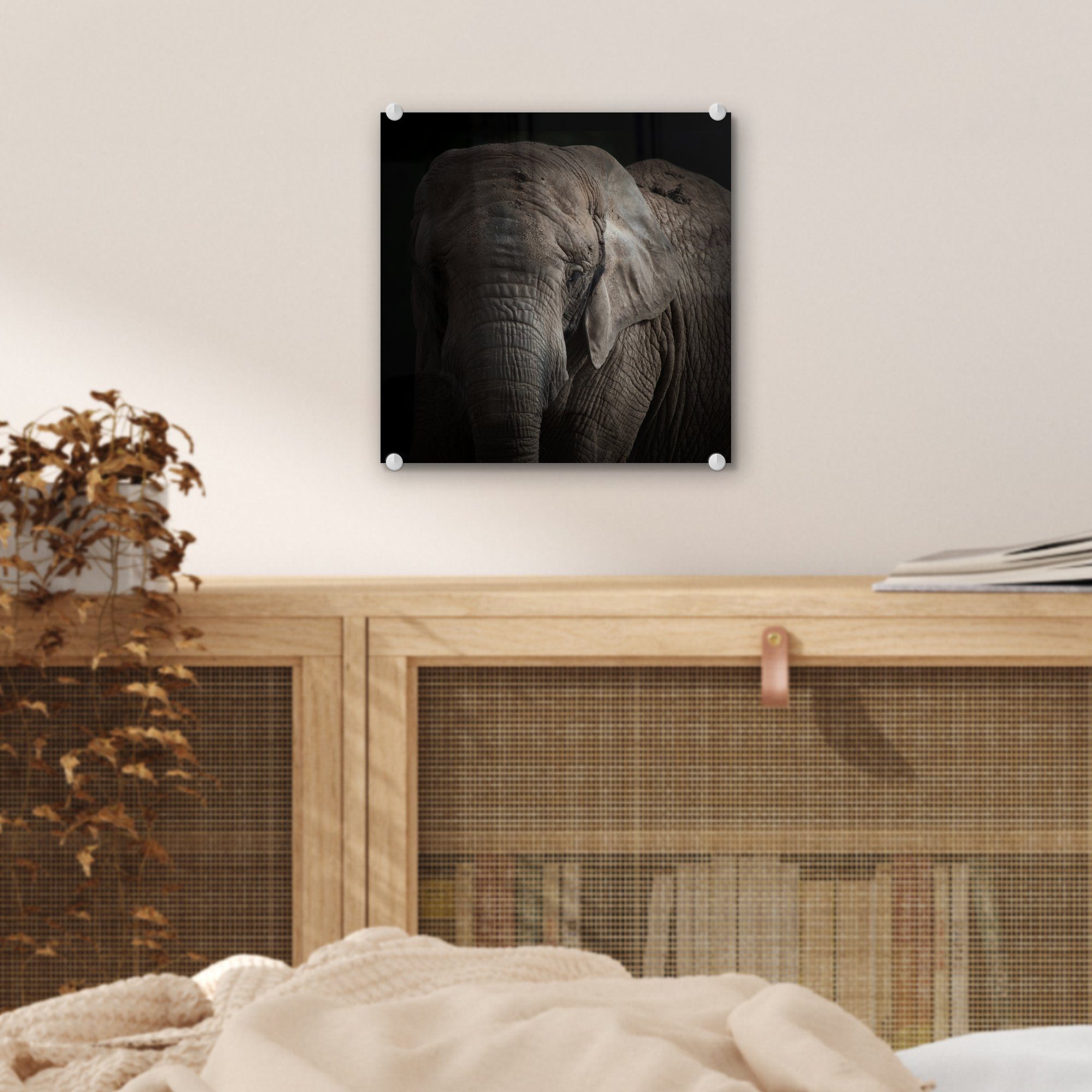 - auf Glasbilder - Bilder Glas Glas auf - Porträt (1 Wandbild MuchoWow St), - Tiere - - Foto Acrylglasbild Schwarz, Wanddekoration Elefant
