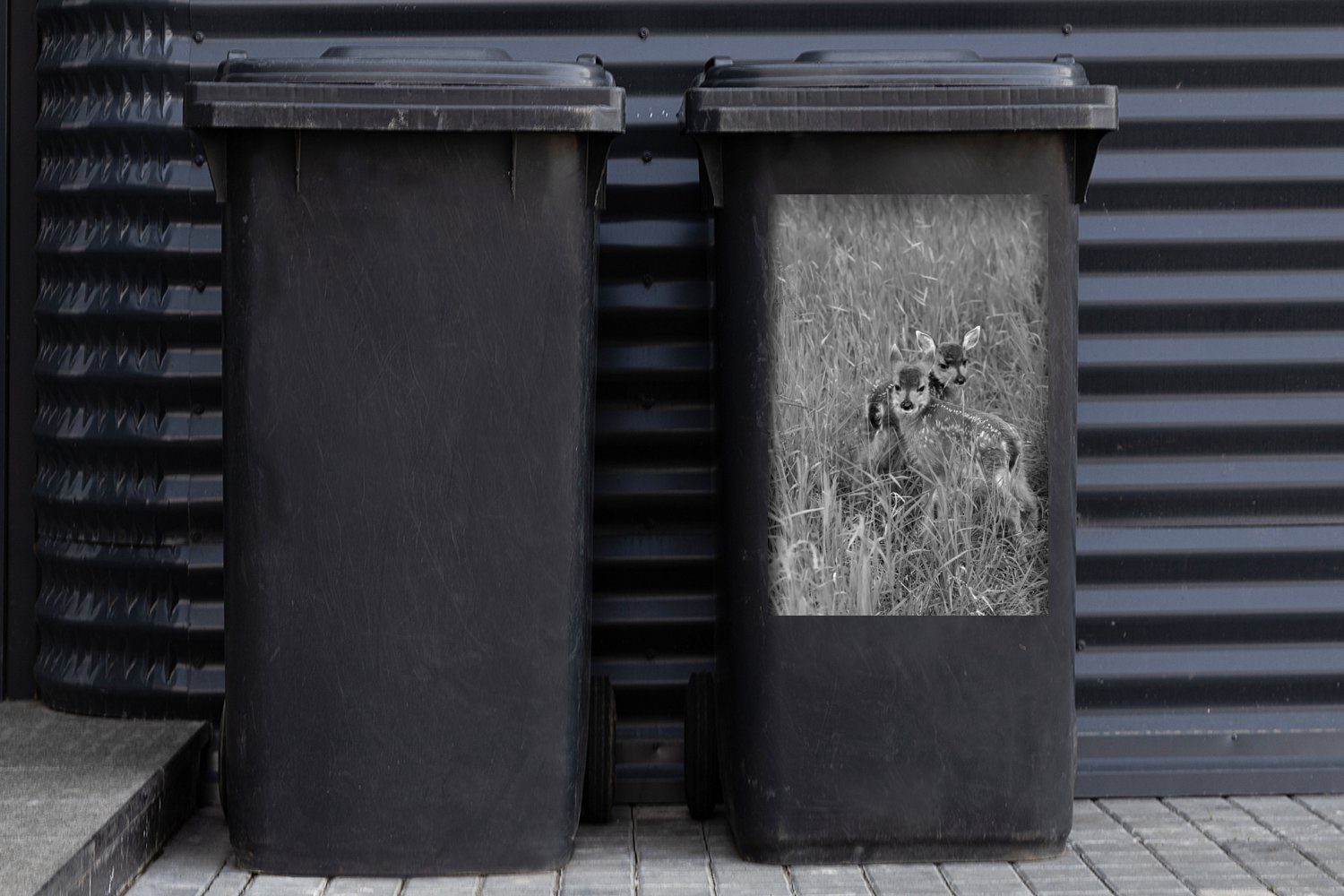 (1 Wandsticker St), Abfalbehälter Mülltonne, Sticker, schwarz im Junger Mülleimer-aufkleber, Feld Hirsch weiß und MuchoWow Container, -