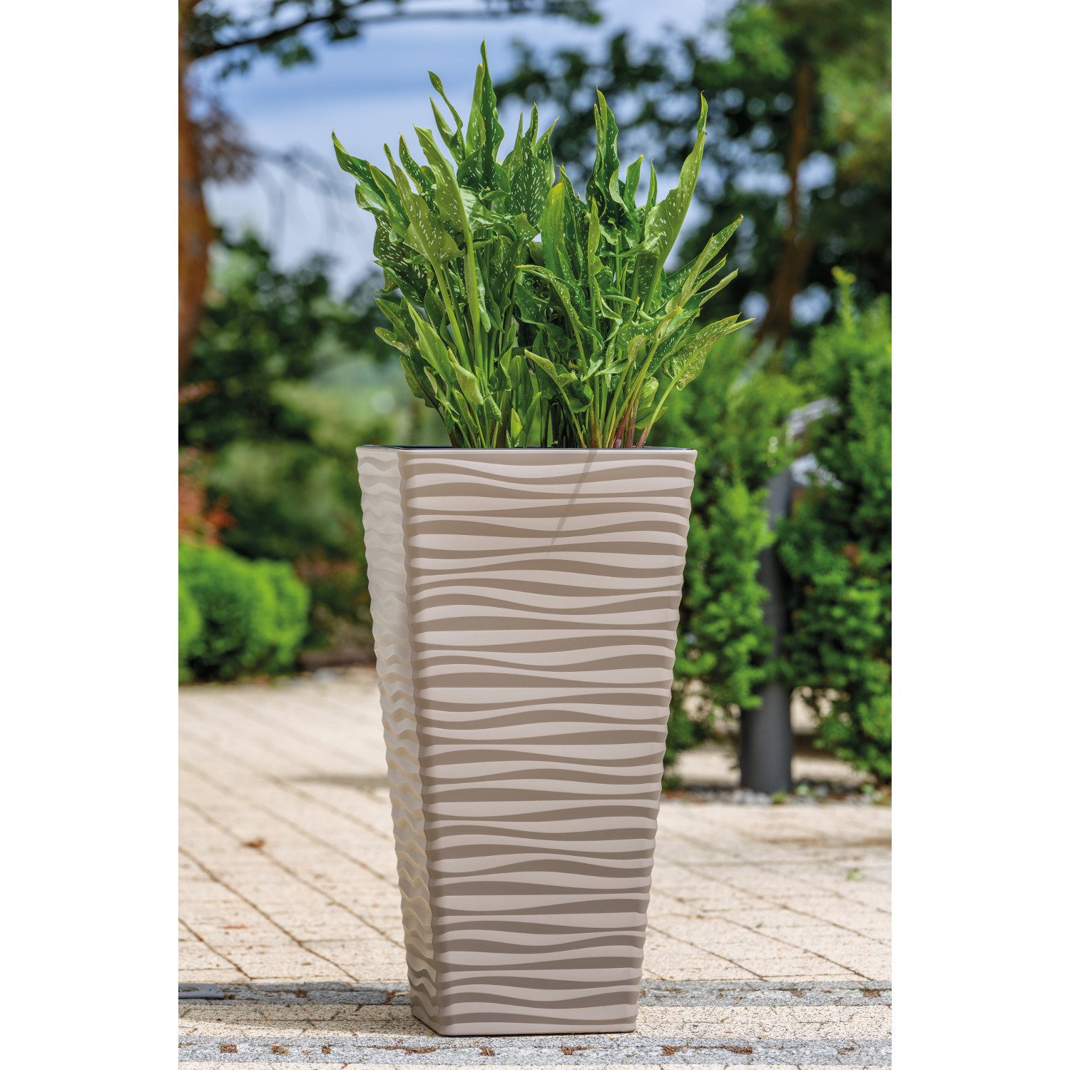 FORM-PLASTIC Blumentopf, Sahara Dunes Slim Square 35
