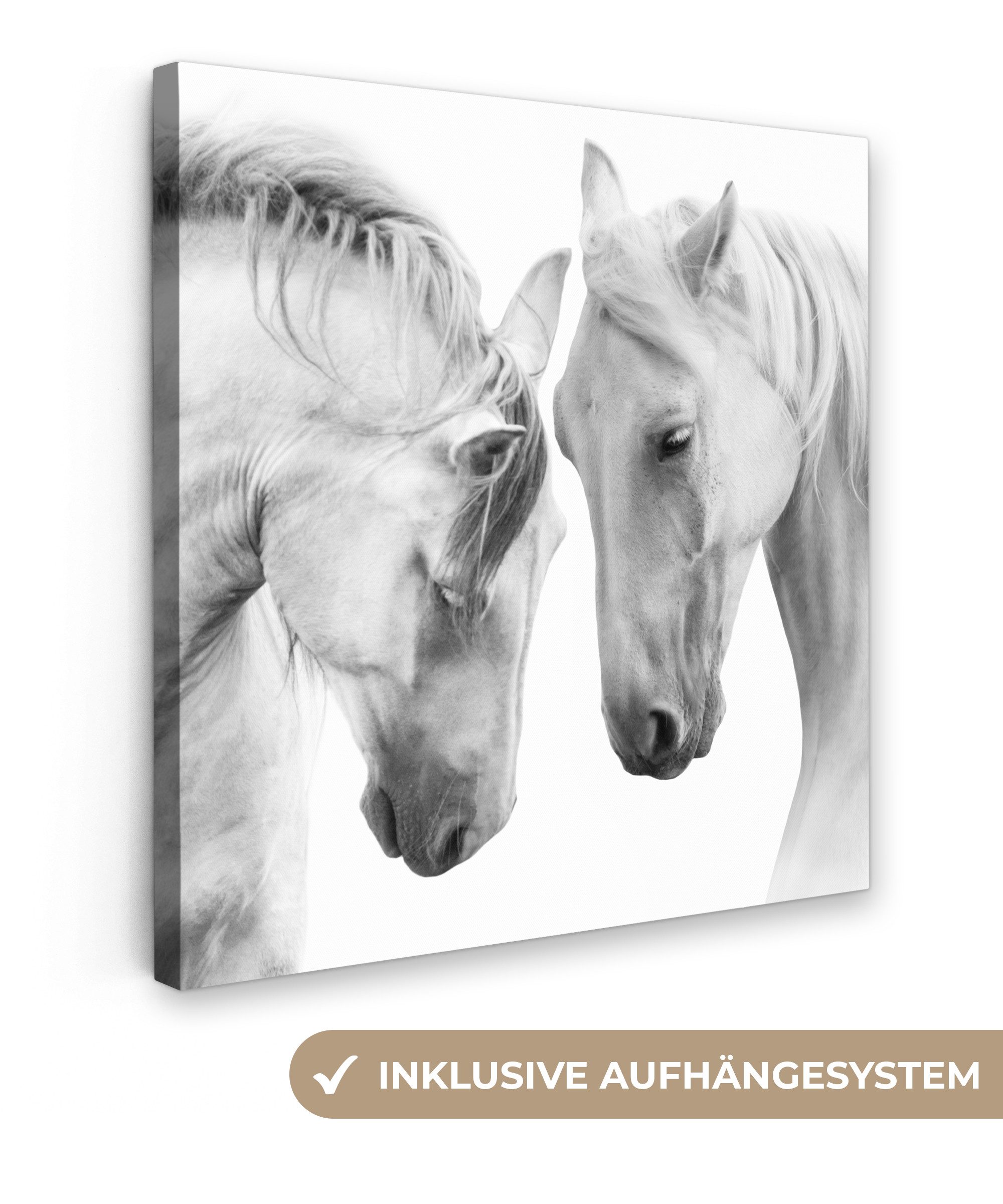 OneMillionCanvasses® Leinwandbild Pferd - Tiere - Porträt - Weiß, Fotodruck (1 St), Wandbild, Deko Schlafzimmer Wohnzimmer Flur 20x20 cm