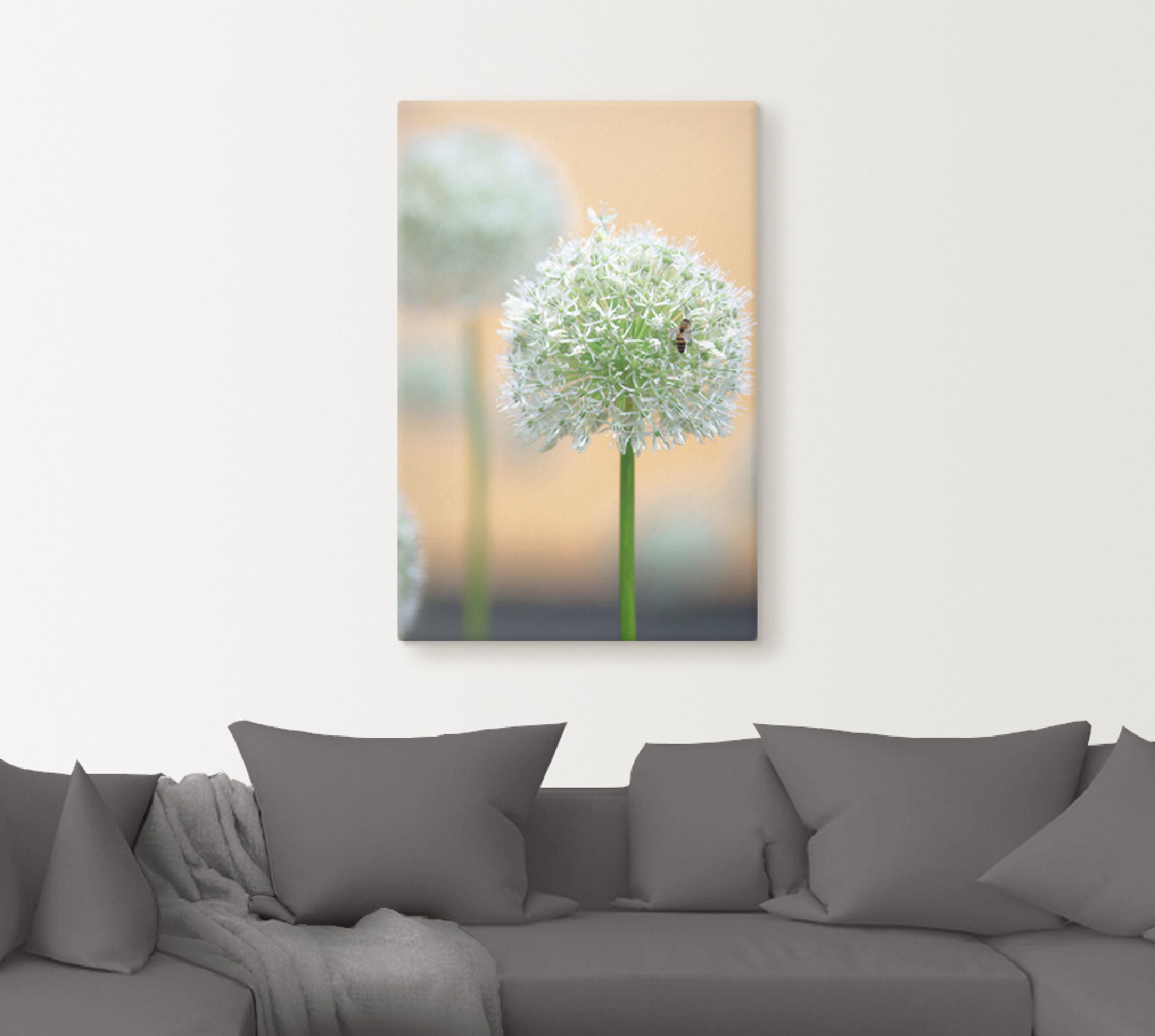 Artland Leinwandbild Großer Allium in Pastell, Blumen (1 St), auf Holzrahmen gespannt