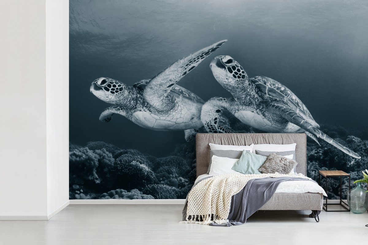 MuchoWow Fototapete Schildkröte bedruckt, Matt, (6 Tapete Schlafzimmer, Wohnzimmer, weiß Tiere, Wilde Kinderzimmer, Vinyl - - Schwarz für - Meerestiere und St), Wallpaper