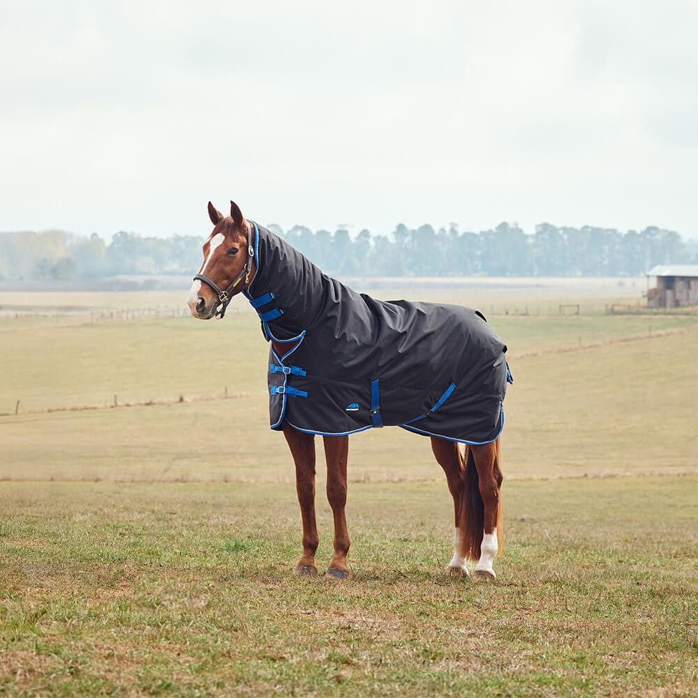 Pferde-Thermodecke Weatherbeeta Comfitec Tyro Turnout Combo Neck 220g