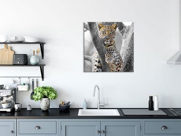 Pixxprint Glasbild majestätischer Leopard auf Baum, majestätischer Leopard auf Baum (1 St), Glasbild aus Echtglas, inkl. Aufhängungen und Abstandshalter
