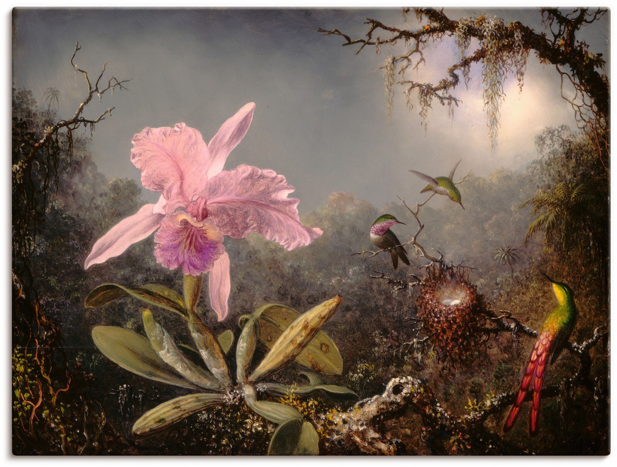 Artland Leinwandbild Cattleya Orchidee und drei Kolibris., Blumenbilder (1 St), auf Holzrahmen gespannt