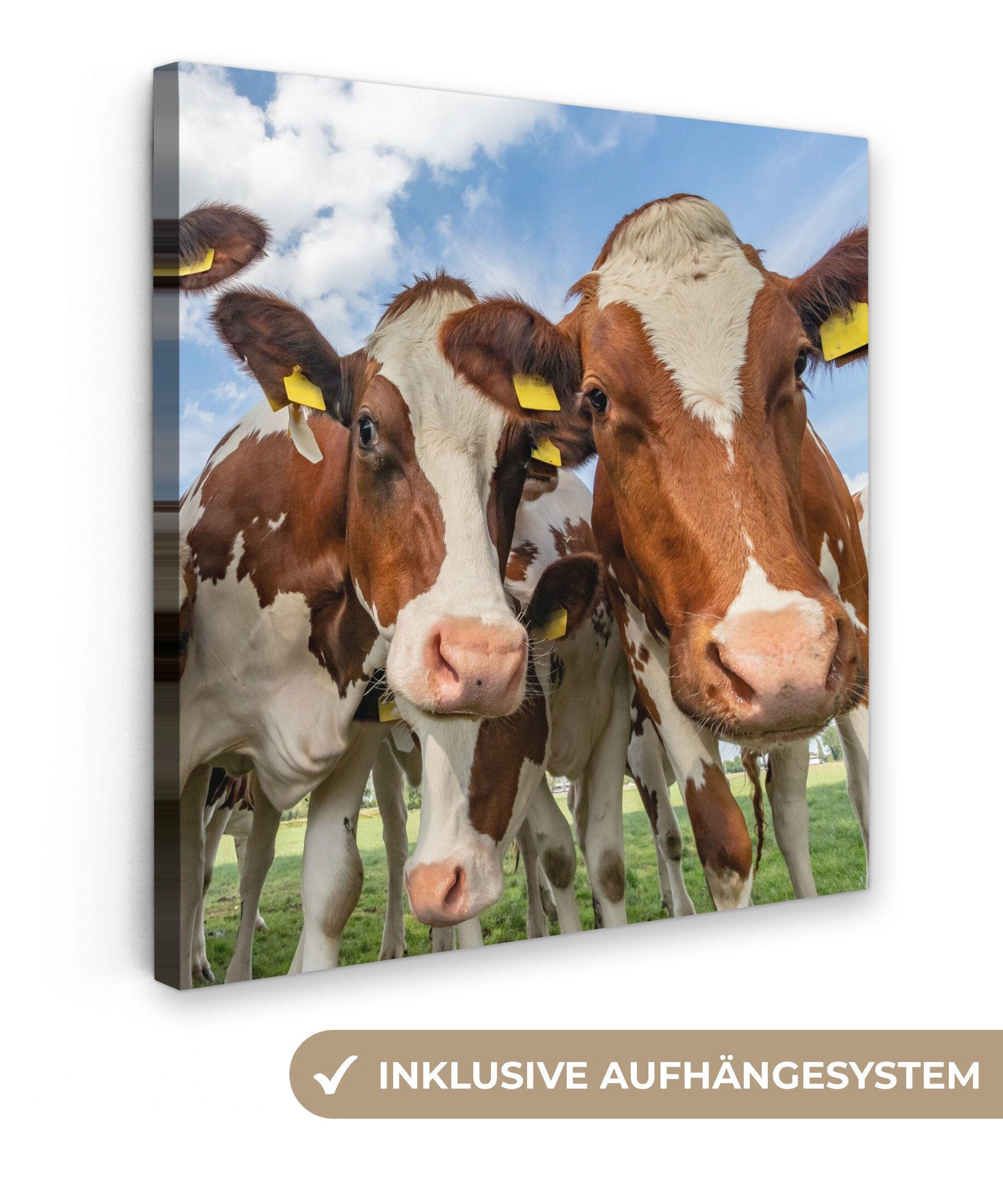 OneMillionCanvasses® Leinwandbild Kühe - Tiere - günstig online kaufen