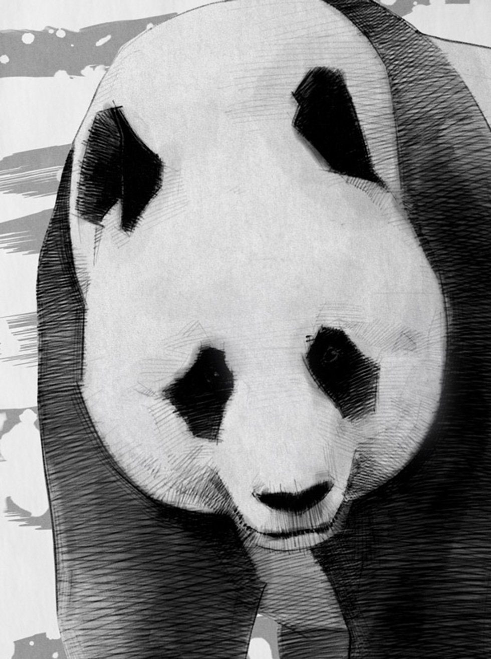 style3 T-Shirt Panda dschungel asien sommer günstig online kaufen