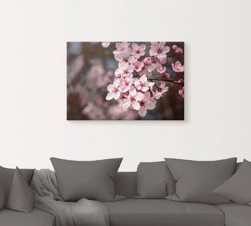 Artland Leinwandbild Kirschblüten Nahaufnahme im Sonnenlicht, Blumen (1 St), auf Keilrahmen gespannt