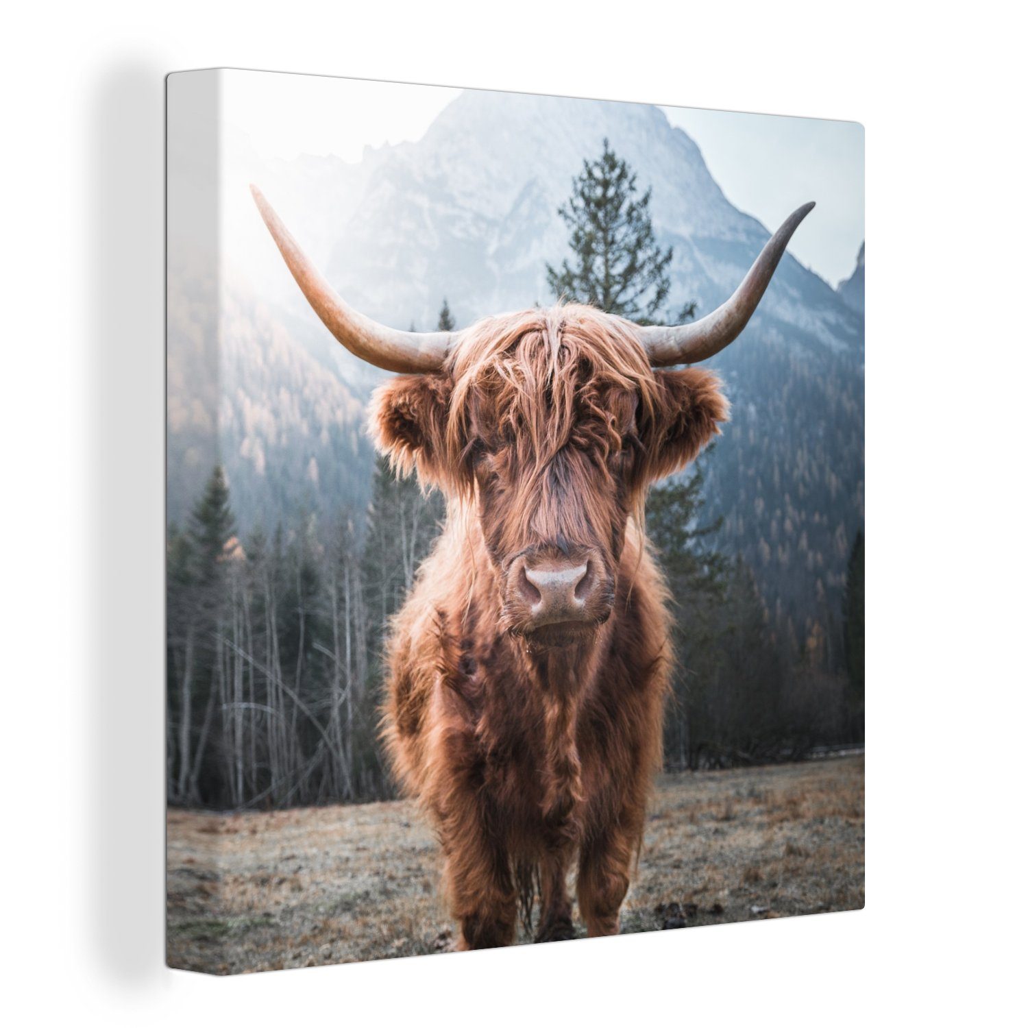 OneMillionCanvasses® Leinwandbild Schottischer Hochländer - Kuh - Tiere - Berg - Natur, (1 St), Leinwand Bilder für Wohnzimmer Schlafzimmer bunt