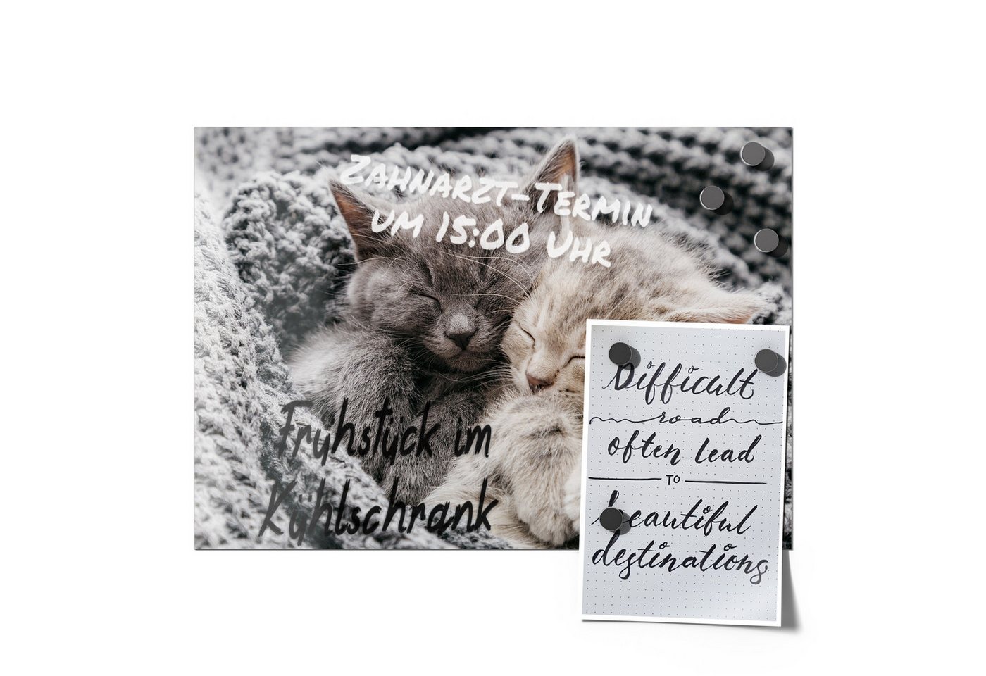 Thumbnail - DEQORI Magnetfolie 'Eingekuschelte Kätzchen', beschreibbar universal Magnetmatte magnetisch Folie Planer Kalender