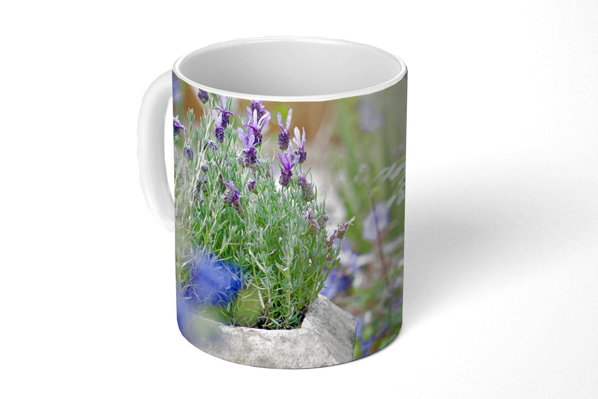 MuchoWow Tasse Nahaufnahme von Lavendel in einem Garten, Keramik, Kaffeetassen, Teetasse, Becher, Teetasse, Geschenk