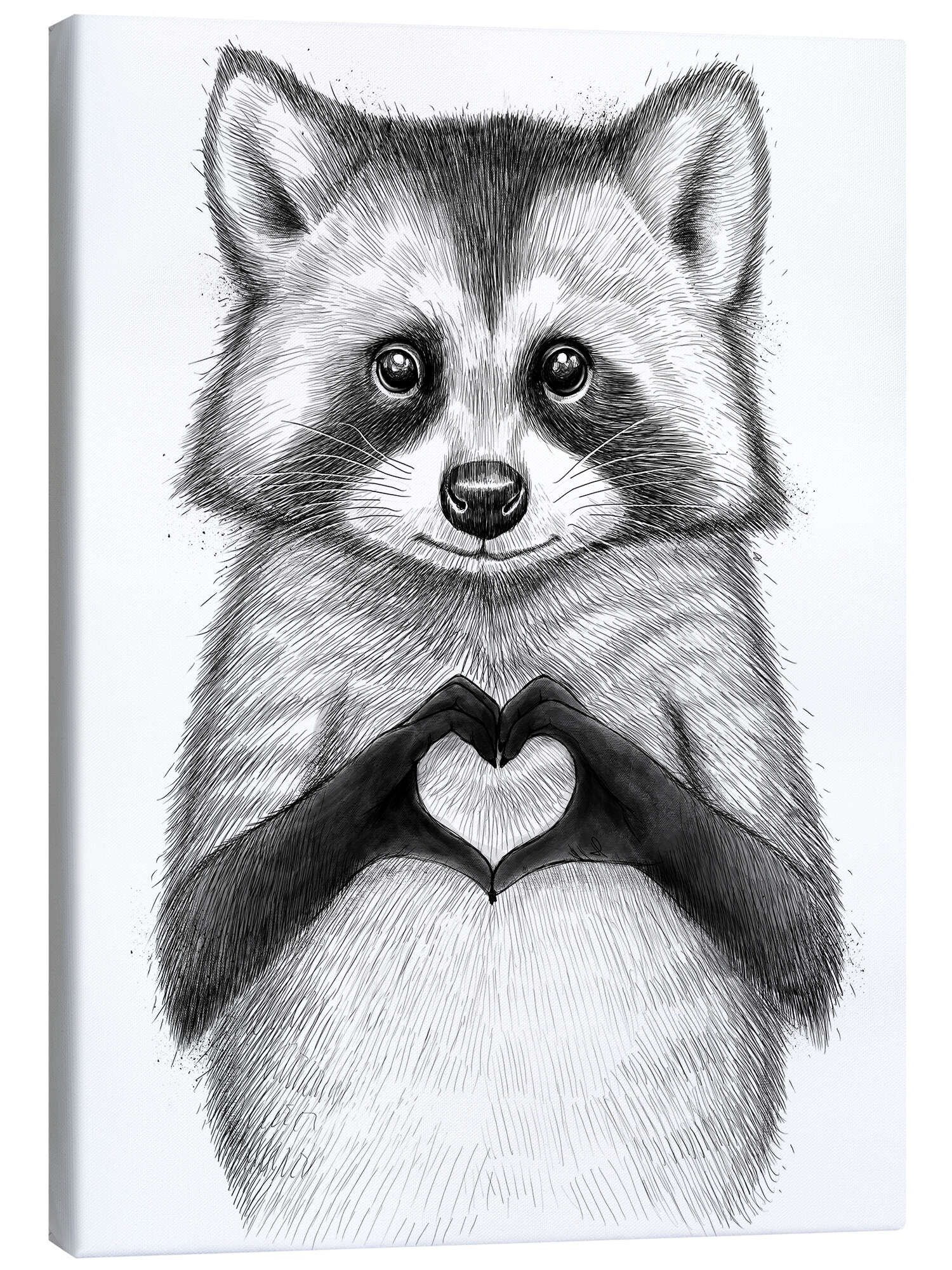Posterlounge Wandbild Waschbär mit Herz, Nikita Korenkov, erhältlich als Poster, Leinwandbild, Wandsticker oder Acrylglasbild