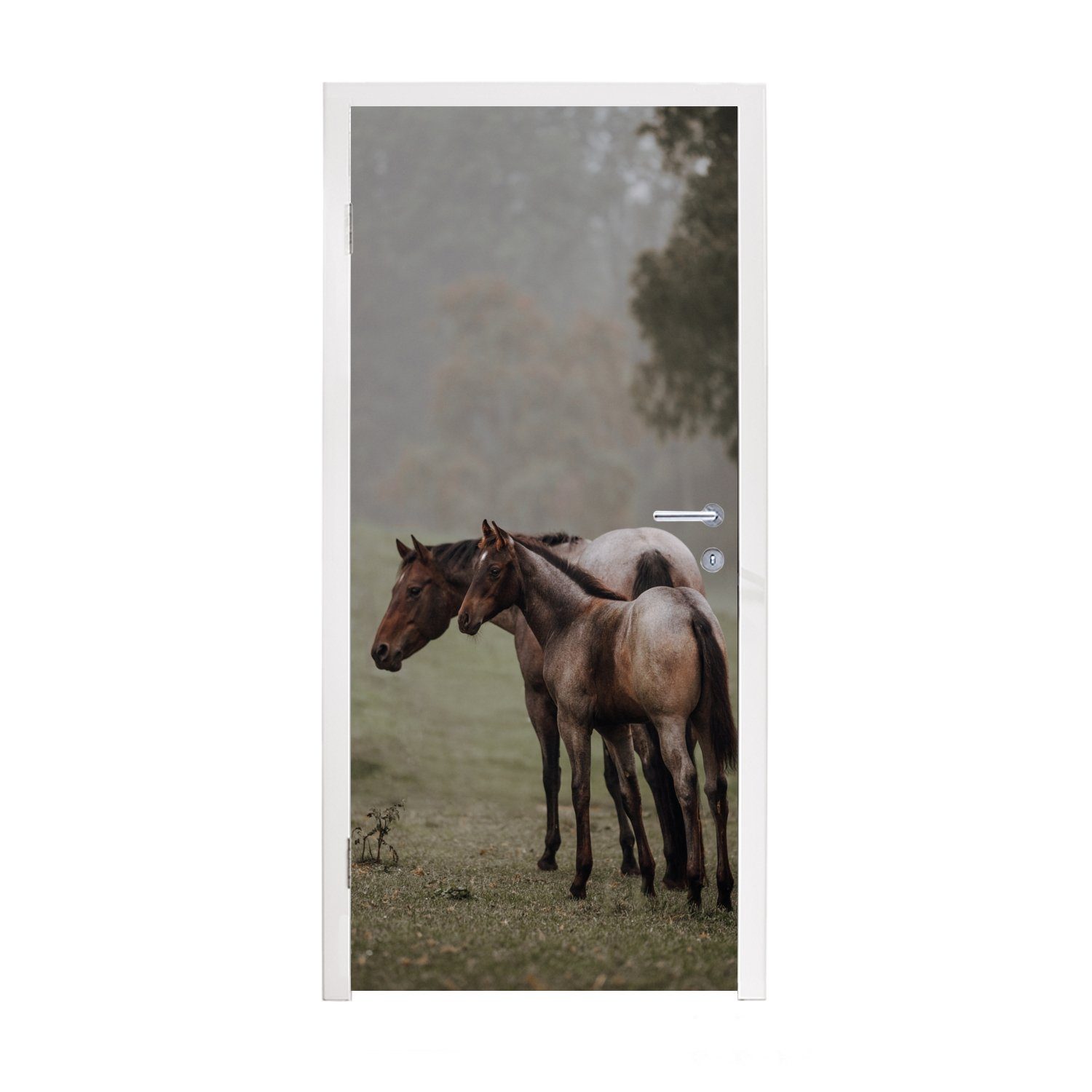 MuchoWow Türtapete Pferde - Natur - Nebel, Matt, bedruckt, (1 St), Fototapete für Tür, Türaufkleber, 75x205 cm