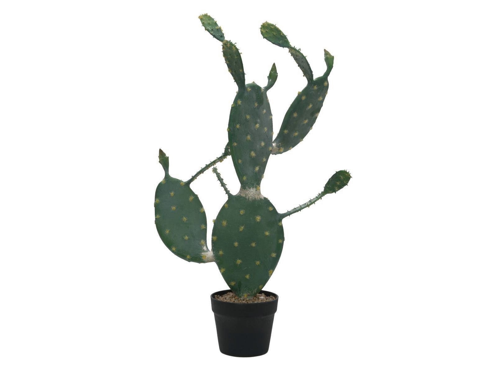 Kunstkaktus Künstlicher Feigenkaktus Alejandro im Topf, grün, 75cm Feigenkaktus, artplants, Höhe 75.0 cm